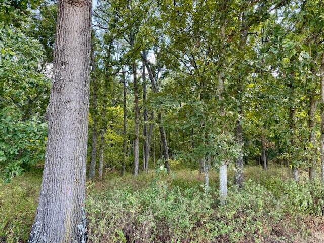 main property photo 76