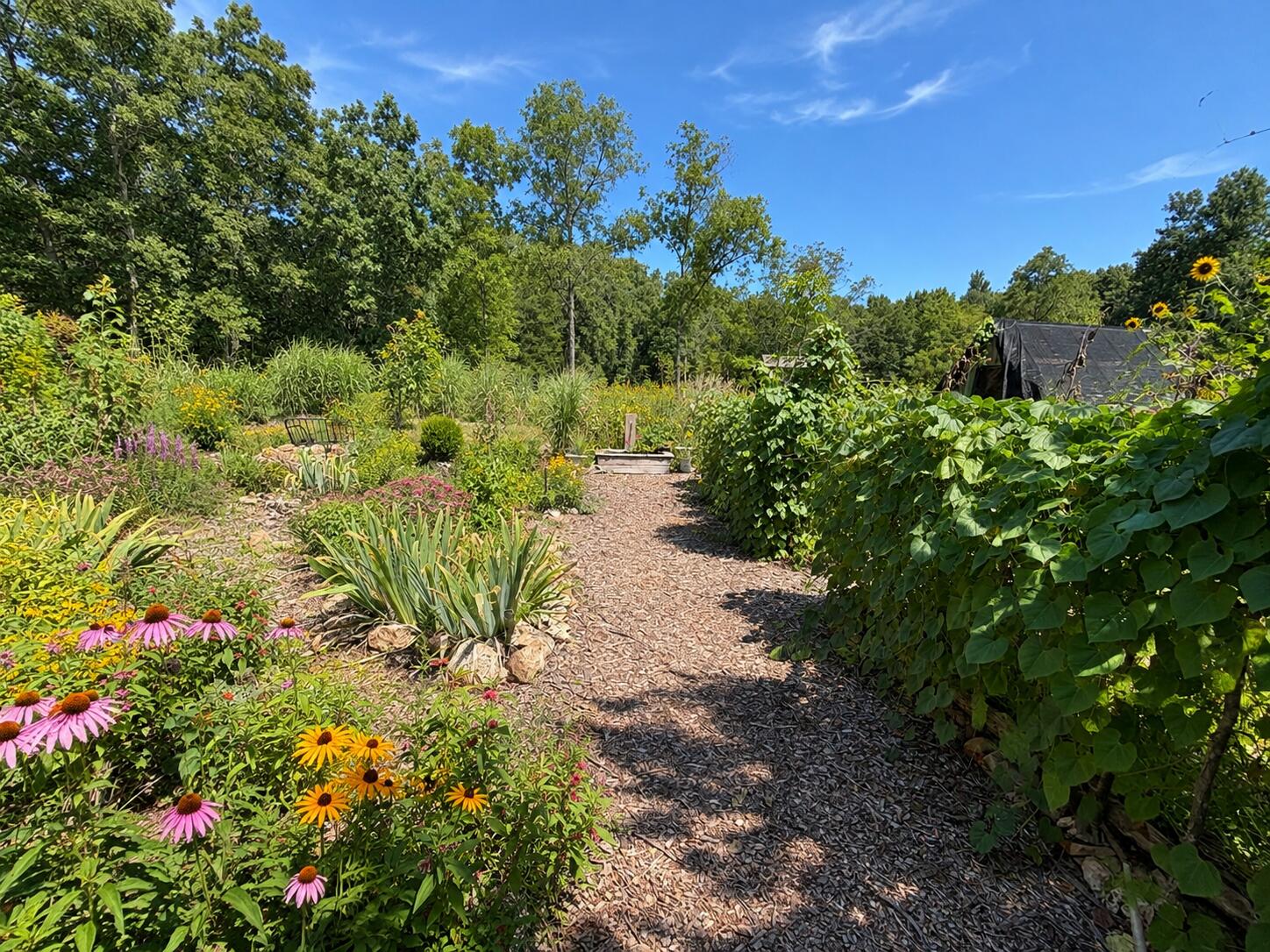 main property photo 30