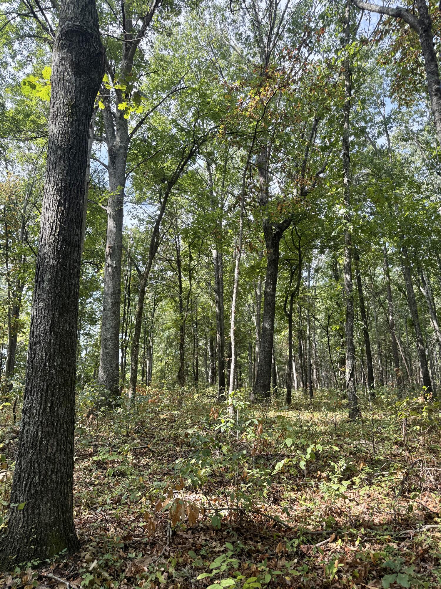 main property photo 103