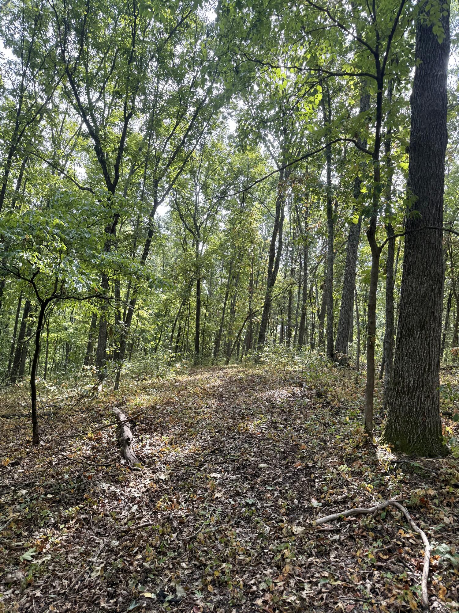 main property photo 104
