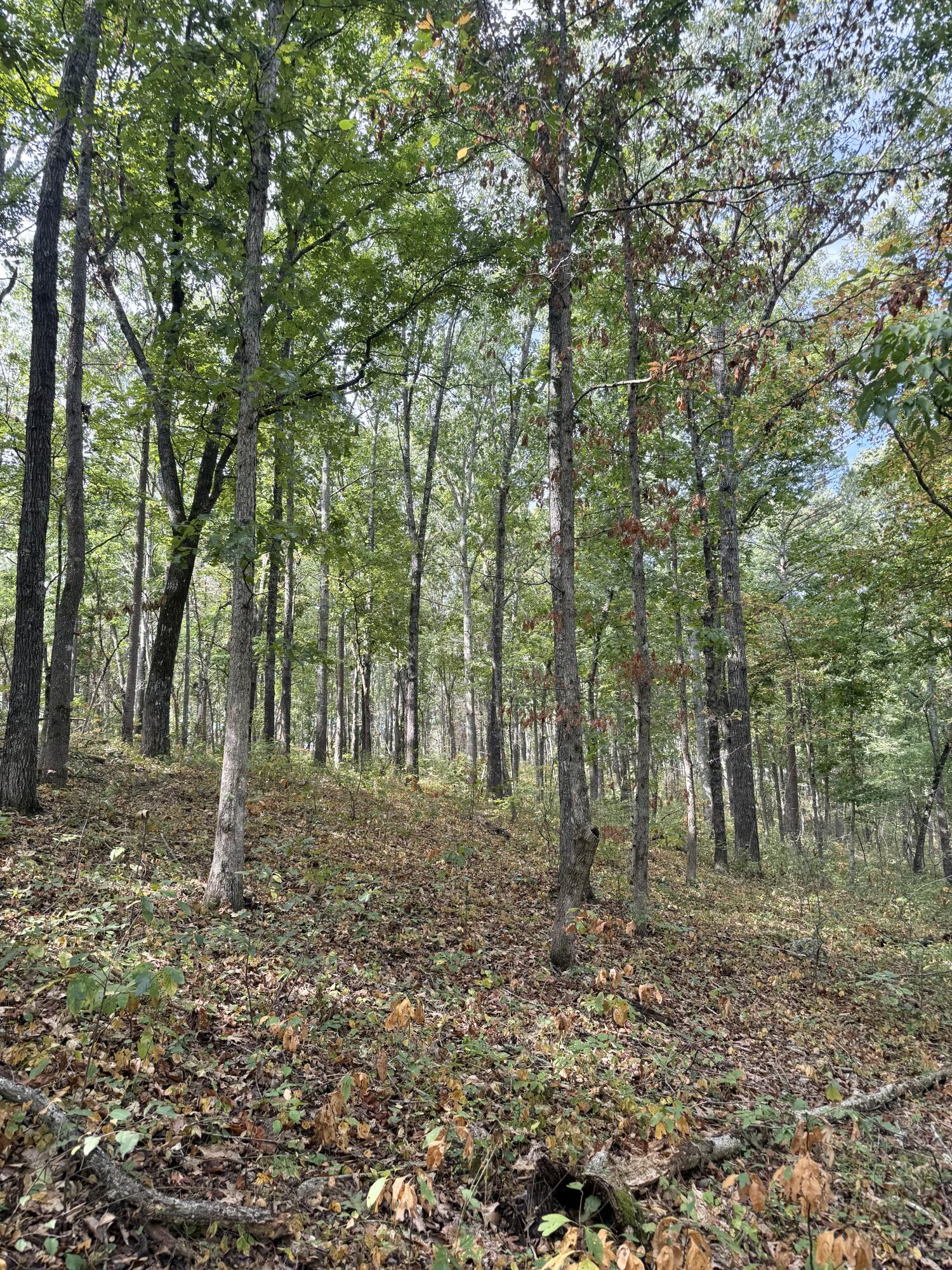 main property photo 105