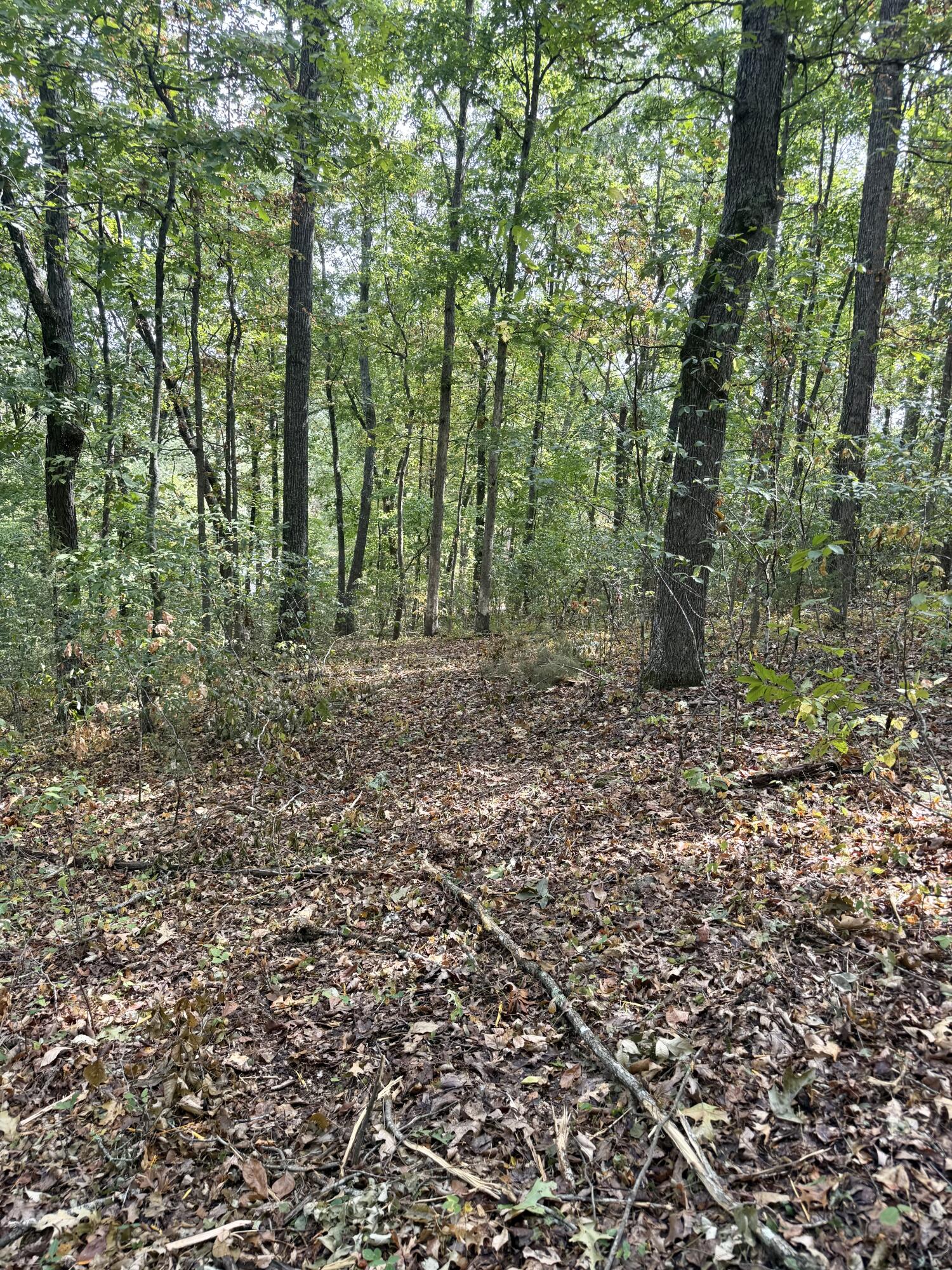 main property photo 106