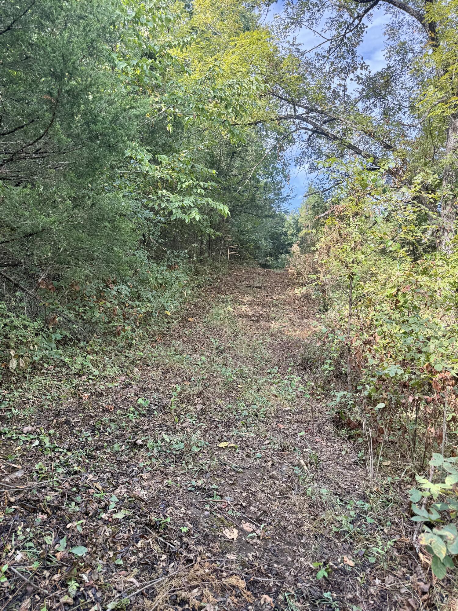 main property photo 107