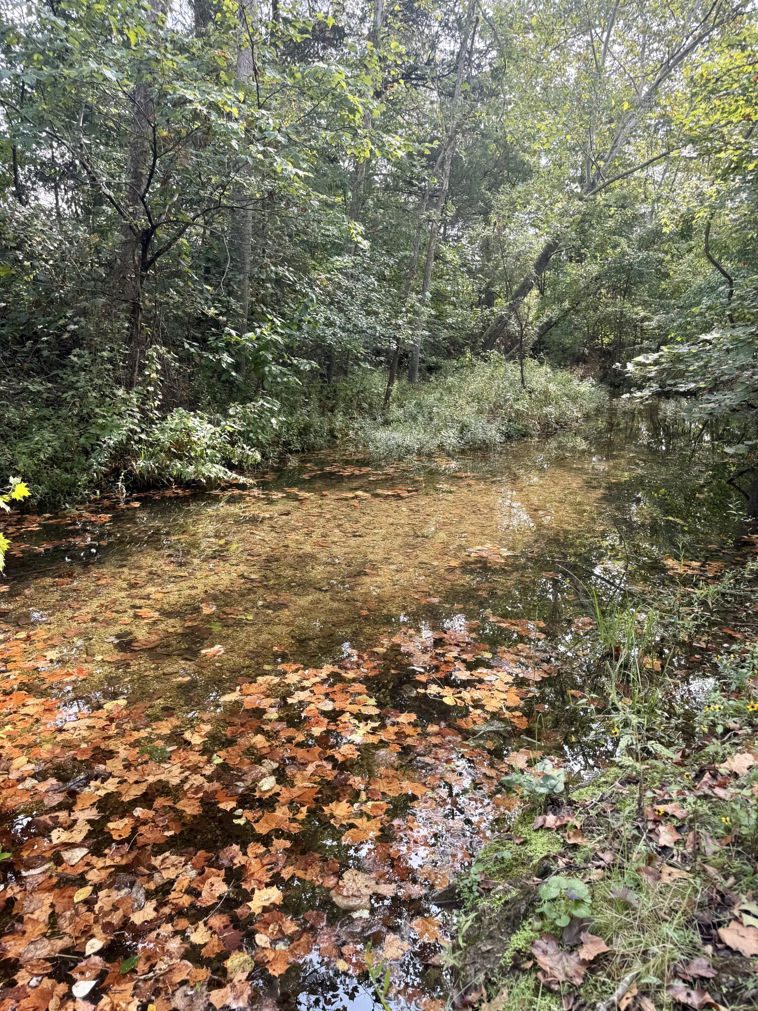 main property photo 111