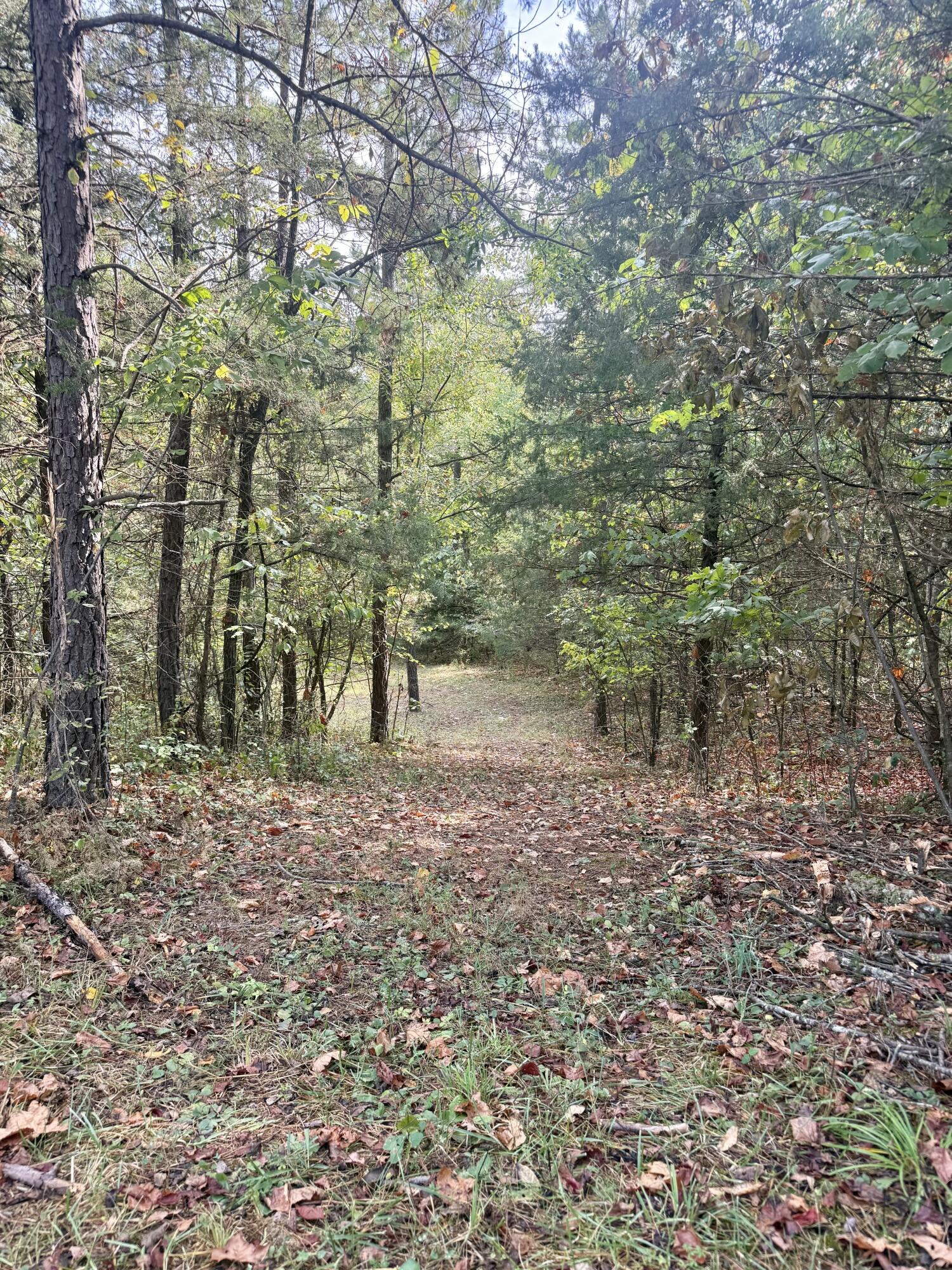 main property photo 114