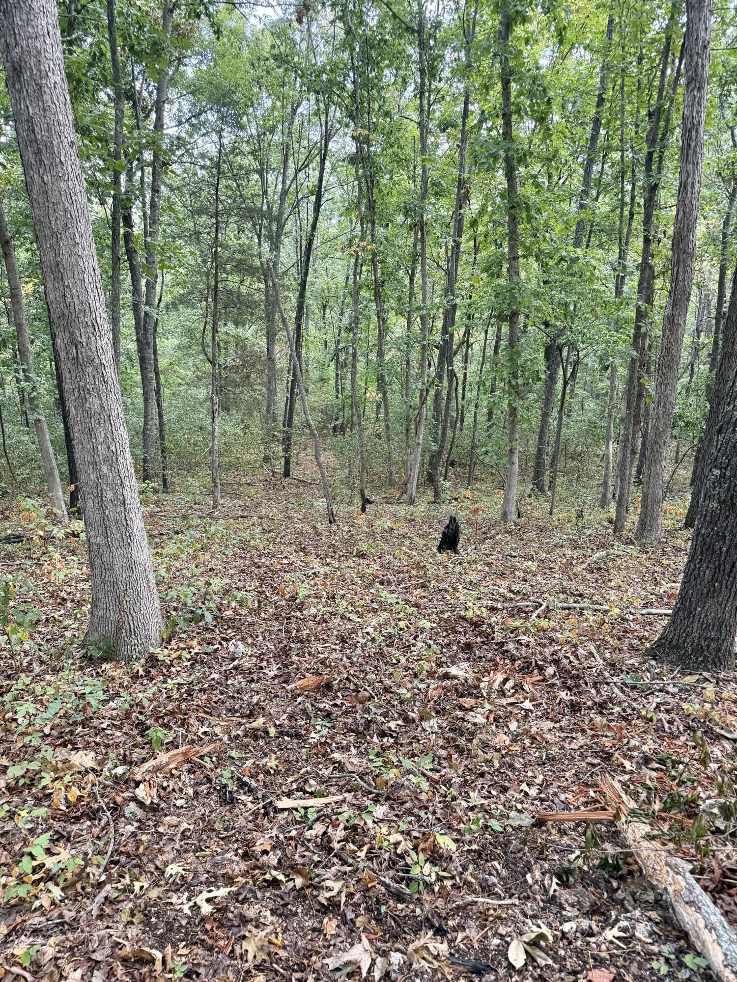 main property photo 115