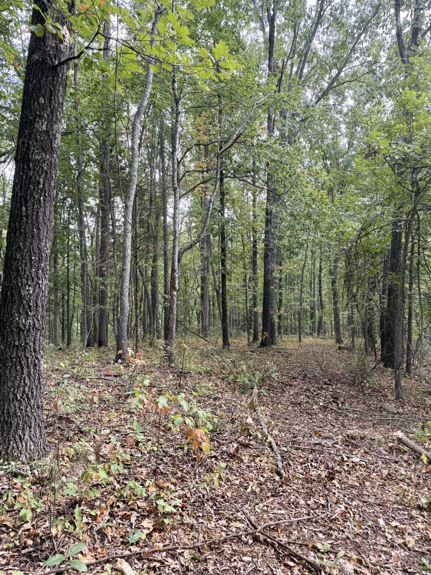 main property photo 116