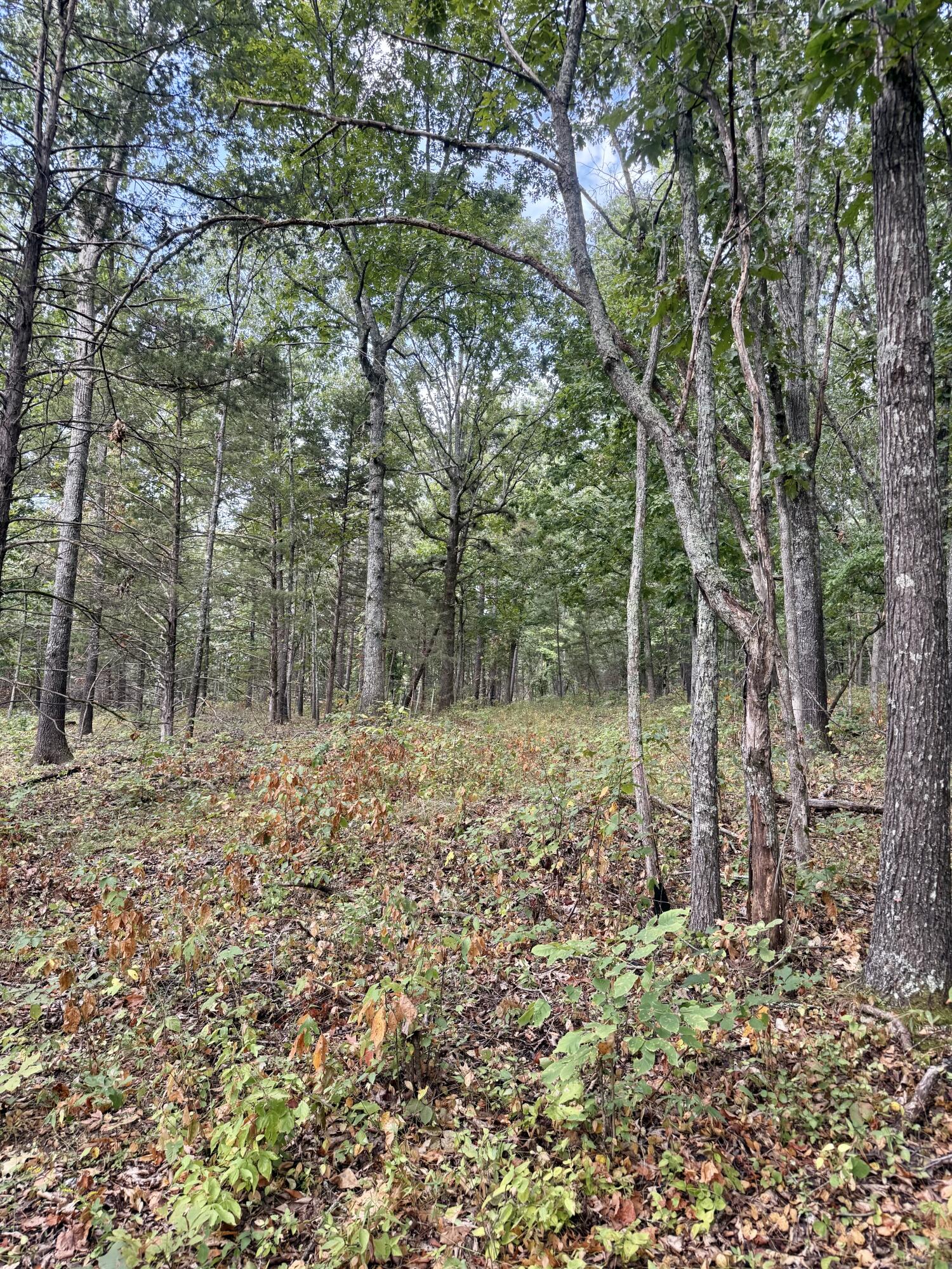 main property photo 117