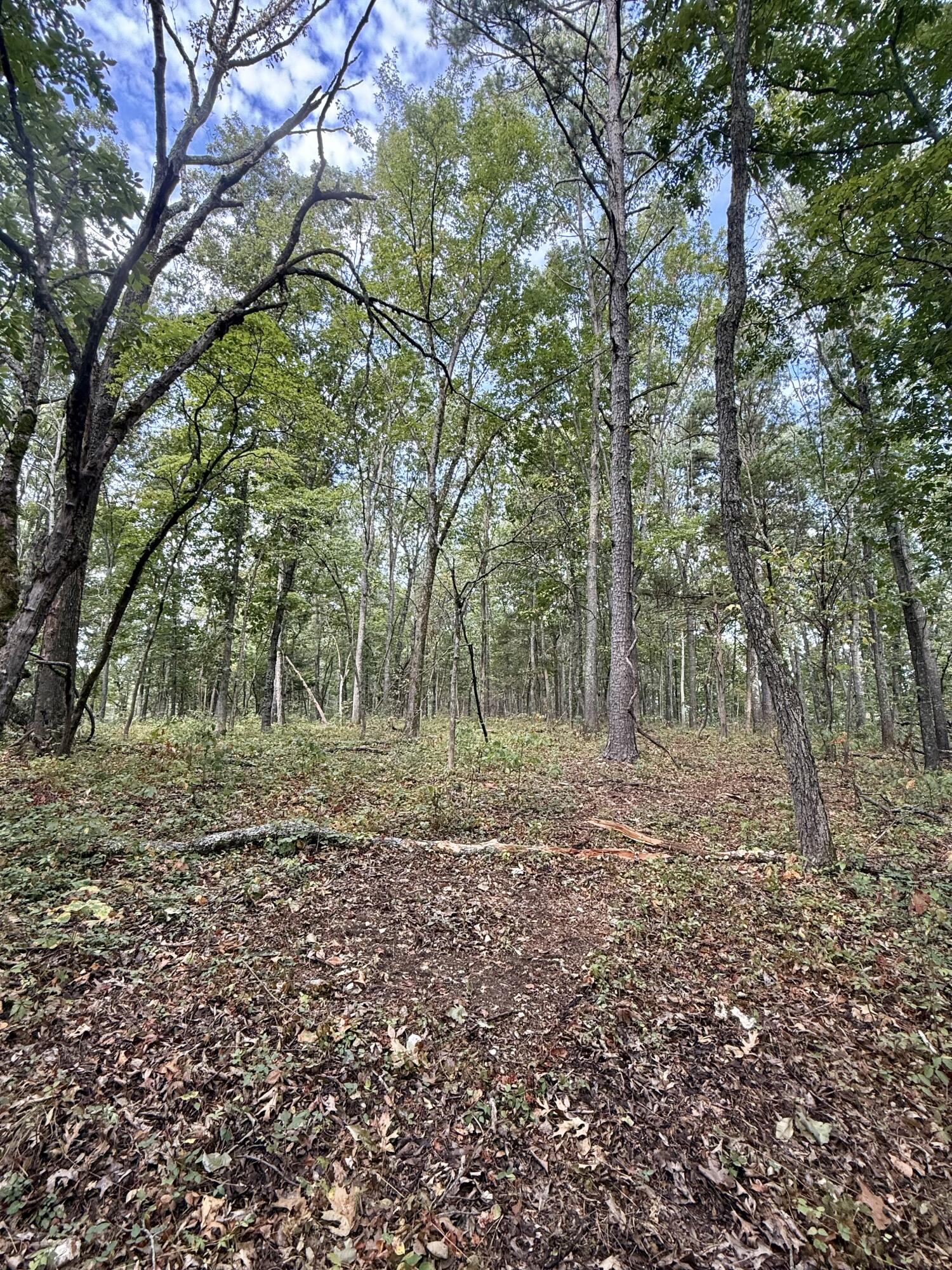 main property photo 118