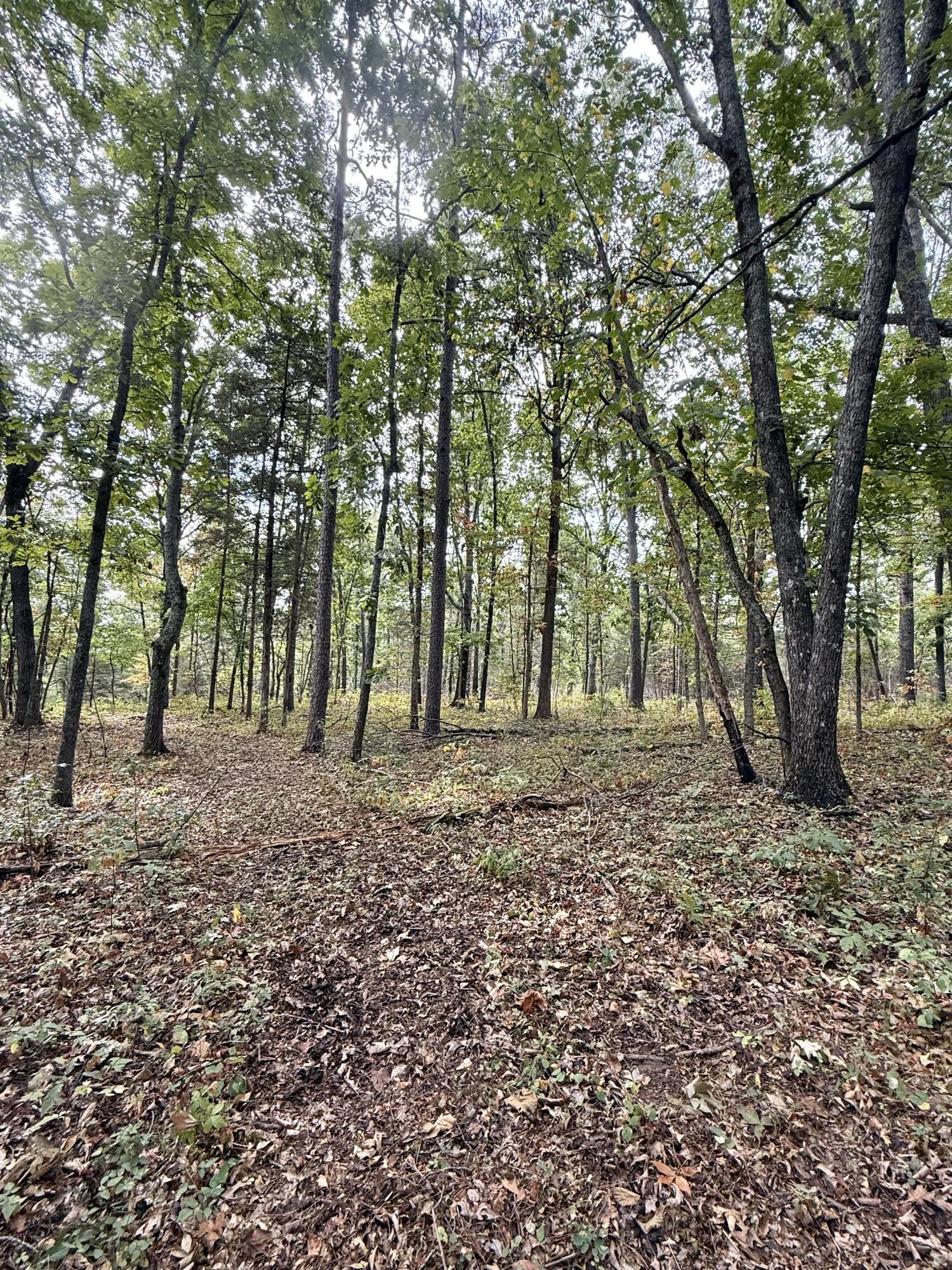 main property photo 119