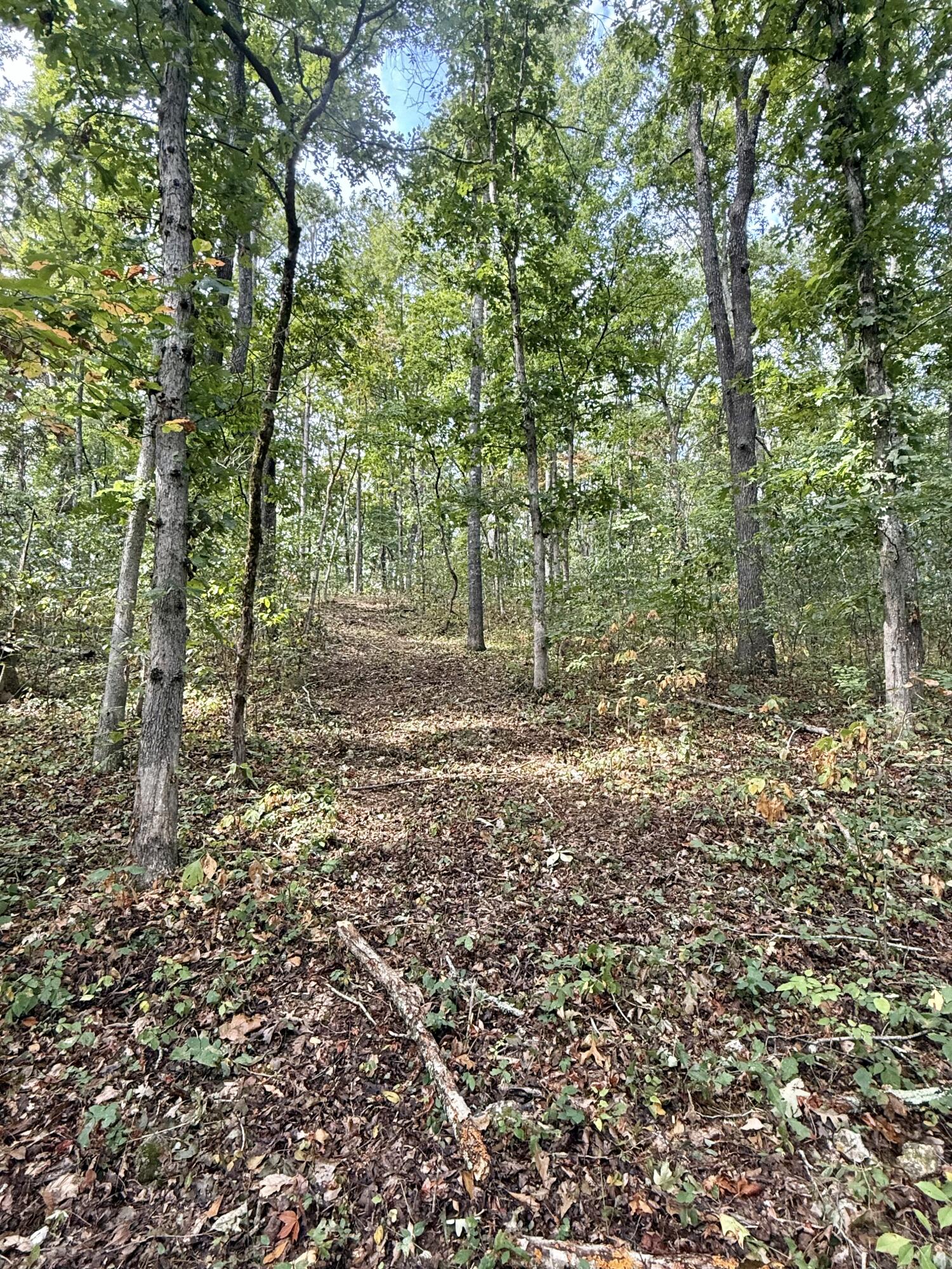 main property photo 120