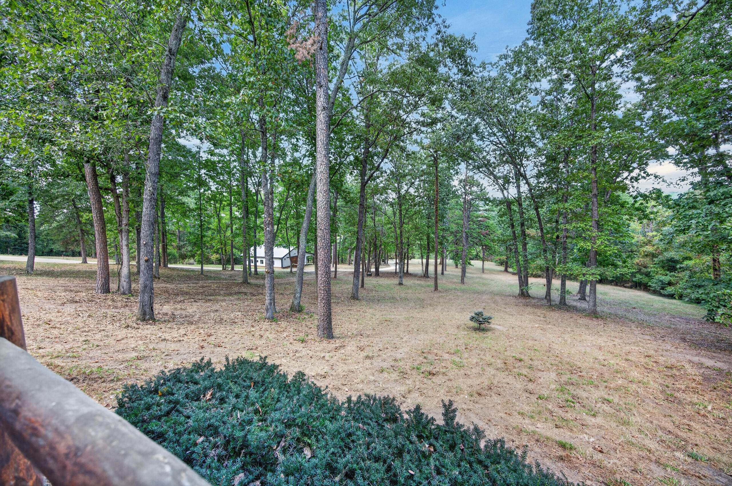main property photo 61