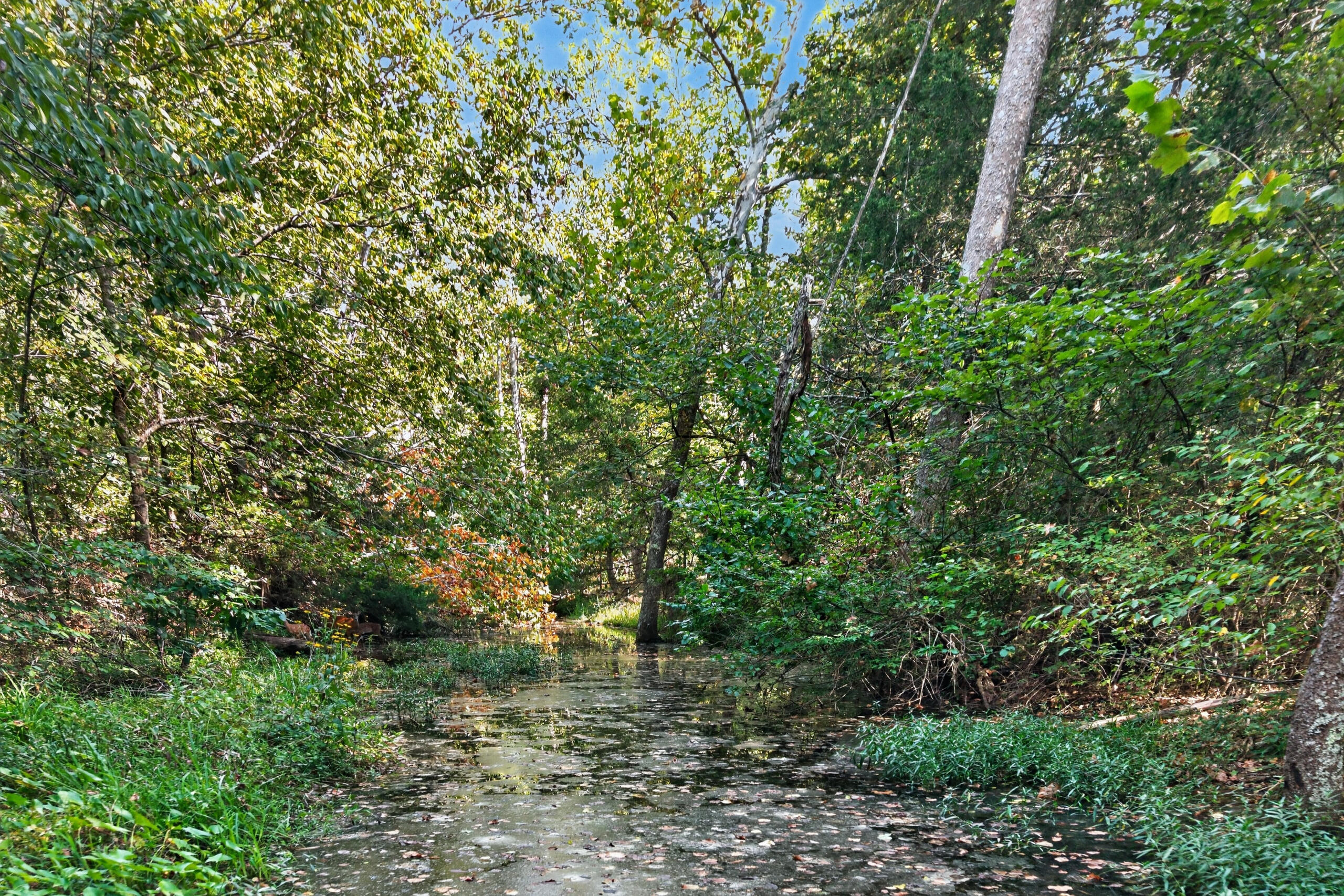 main property photo 7