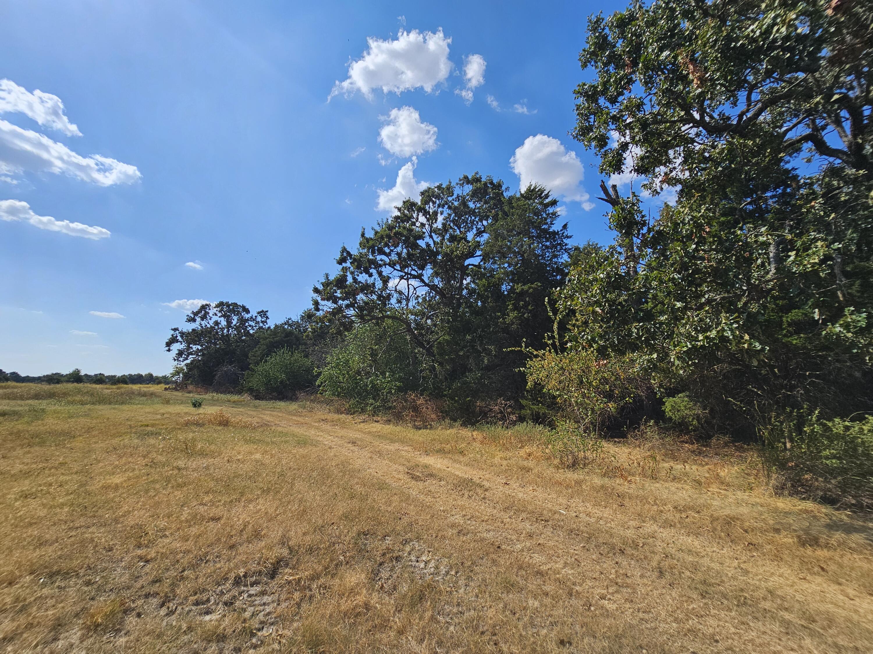 main property photo 61