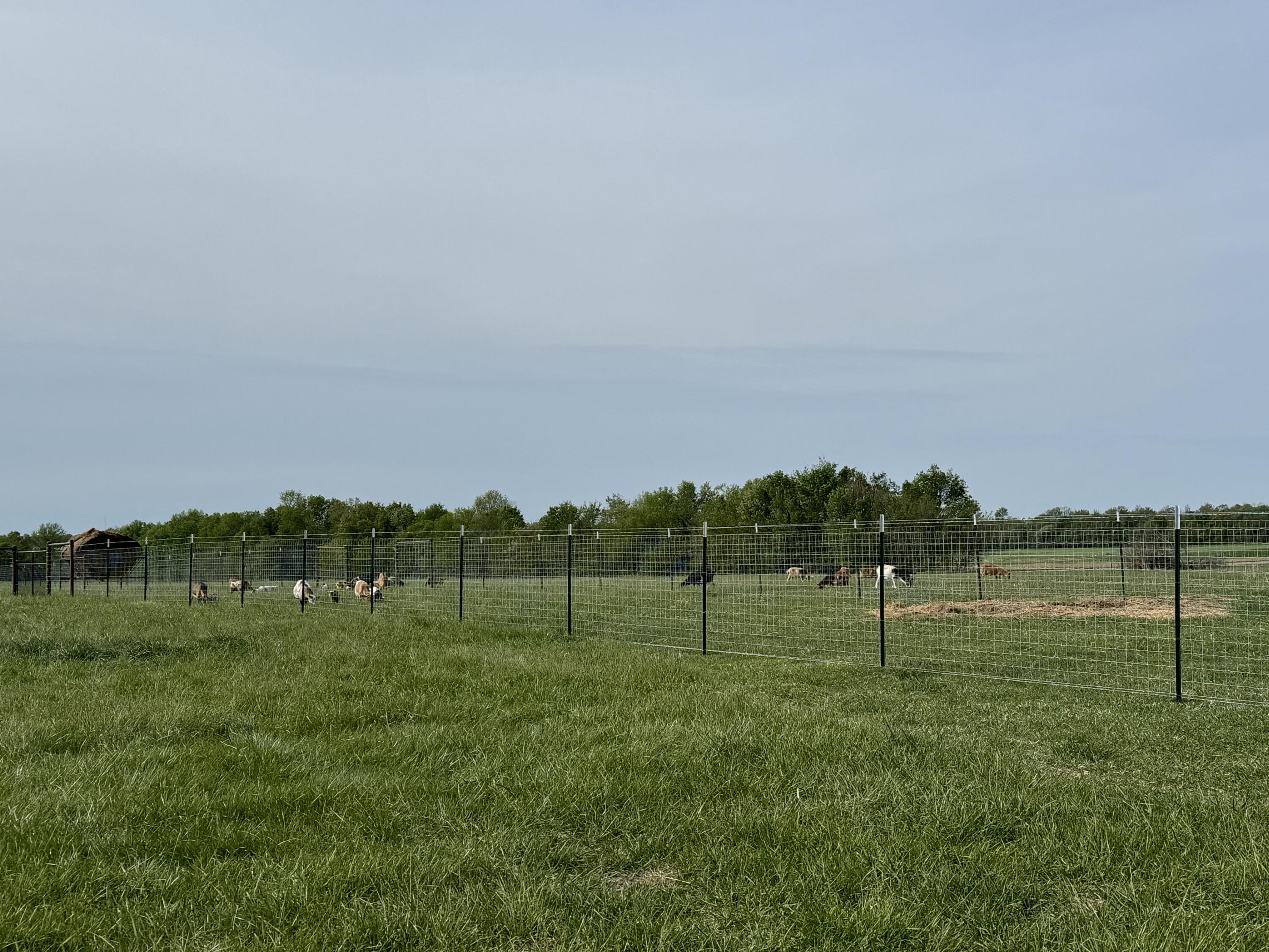 main property photo 68
