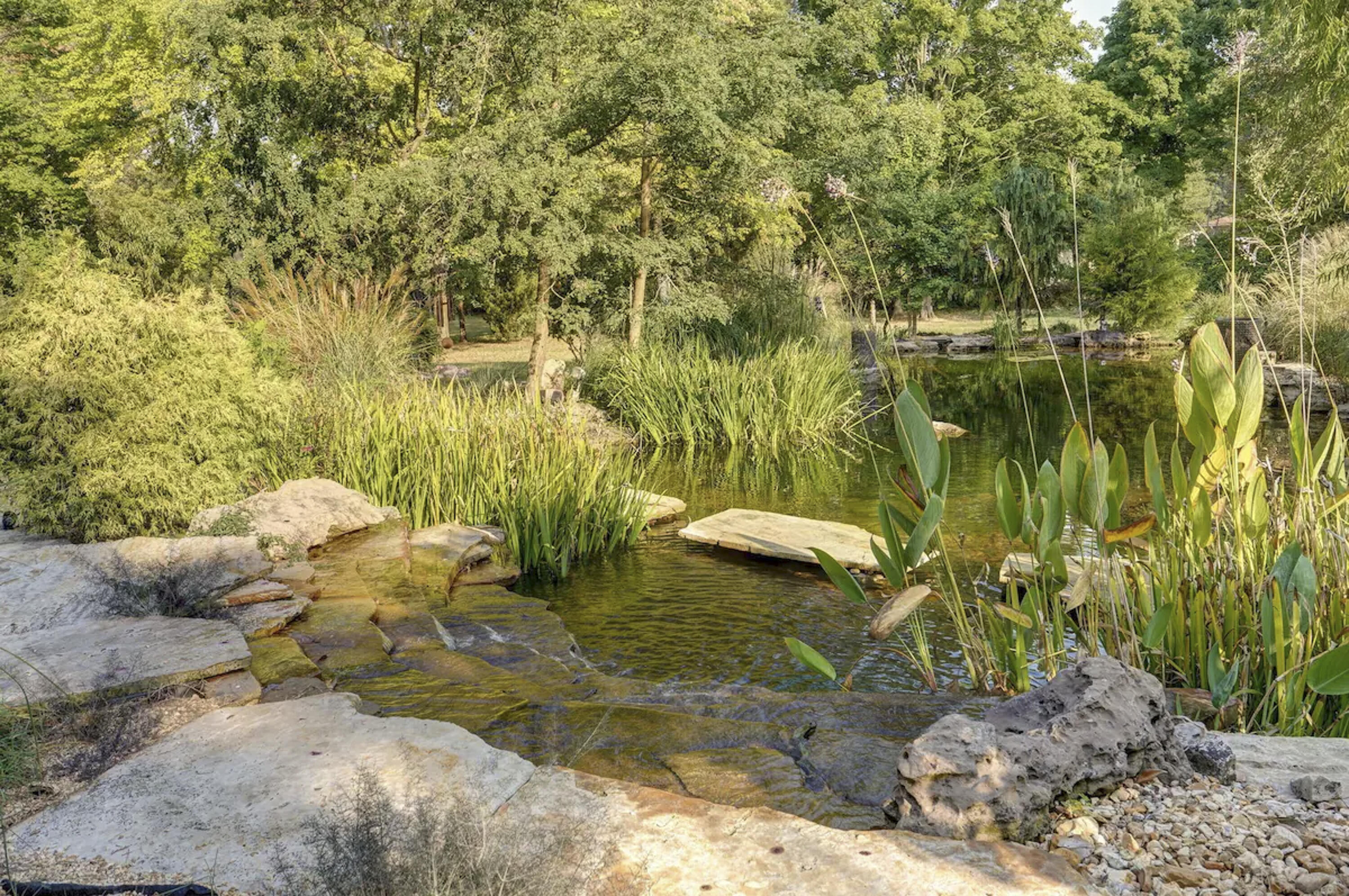 main property photo 99