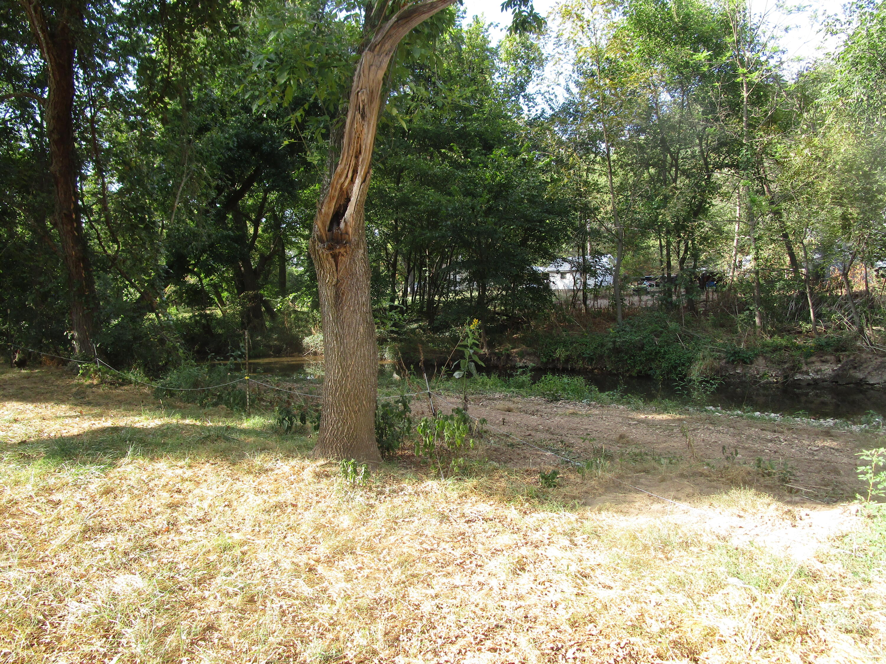 main property photo 54