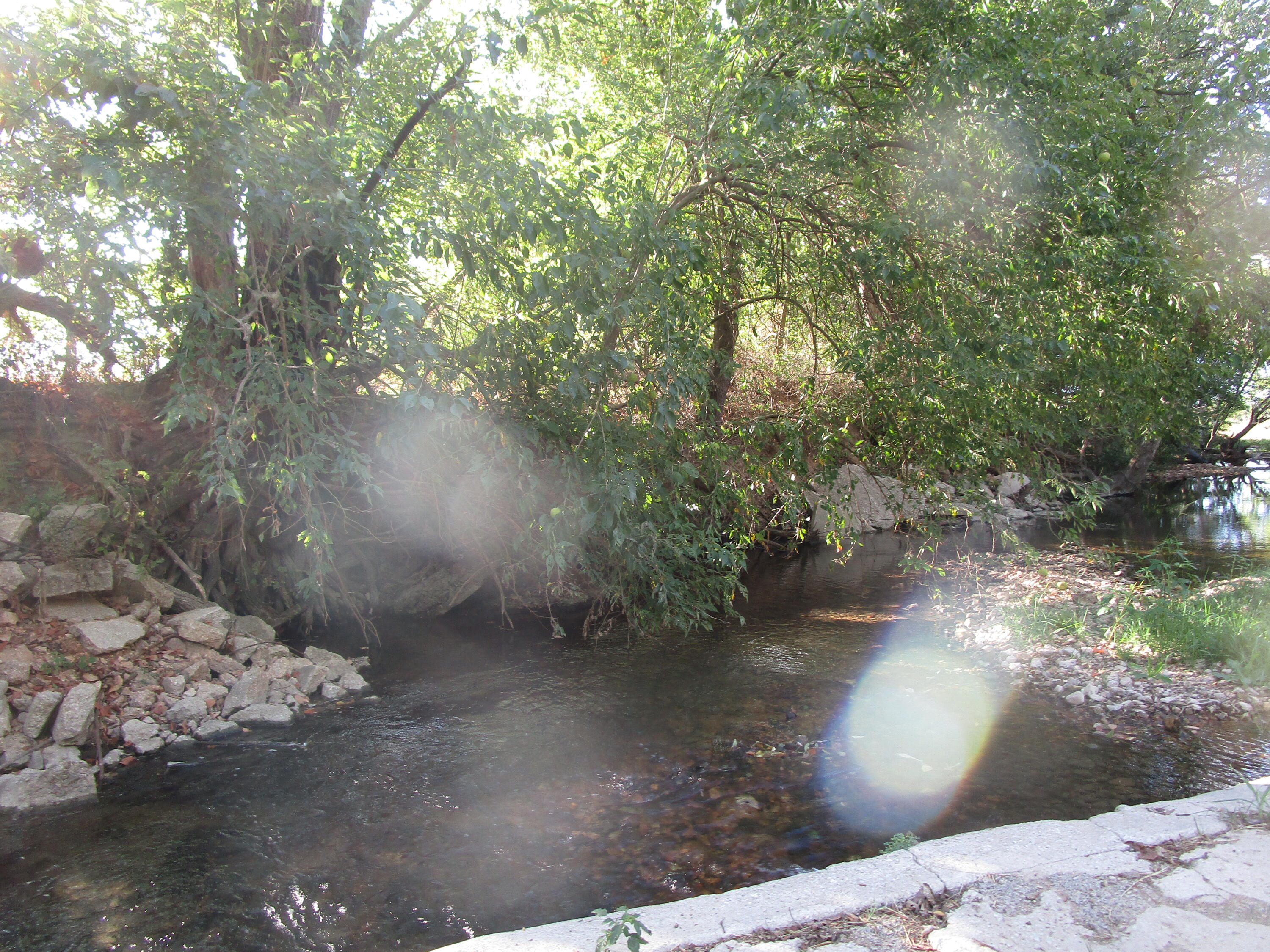 main property photo 69