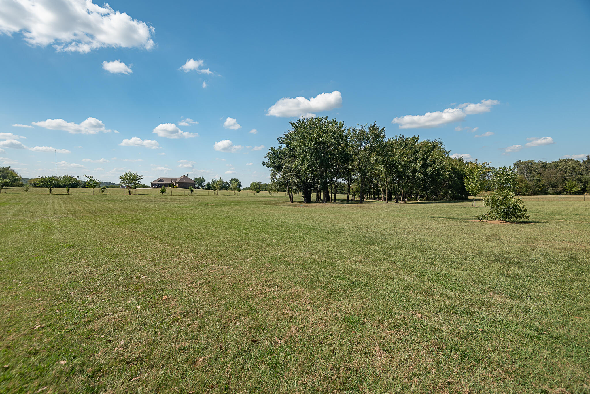 main property photo 55