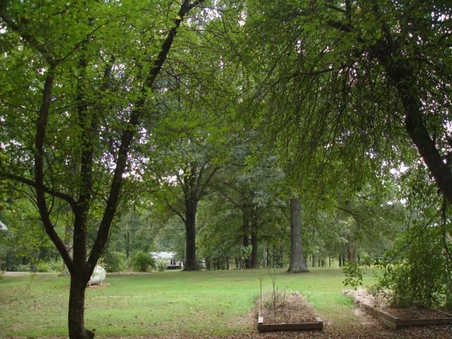 main property photo 20