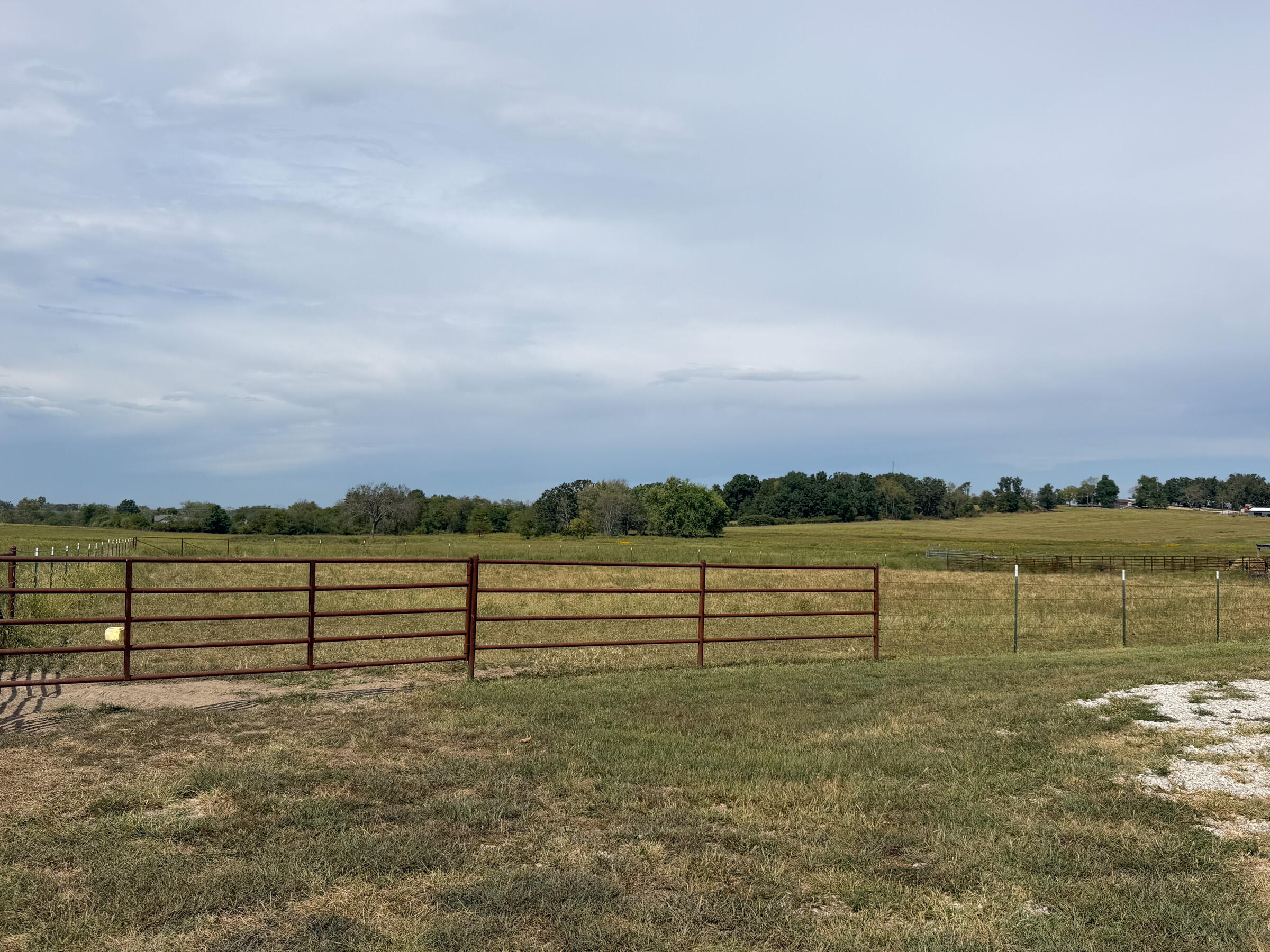 main property photo 59