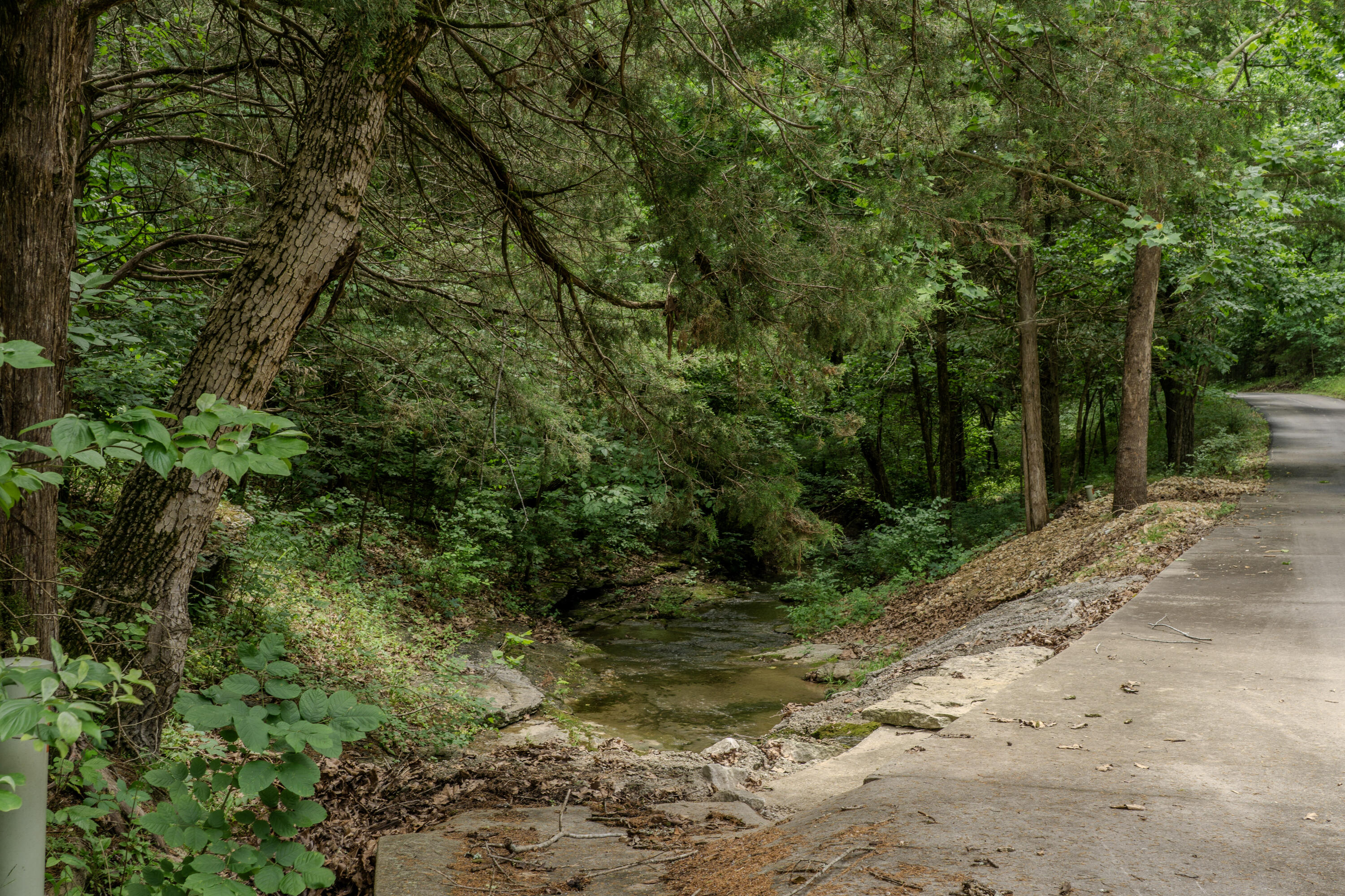 main property photo 67