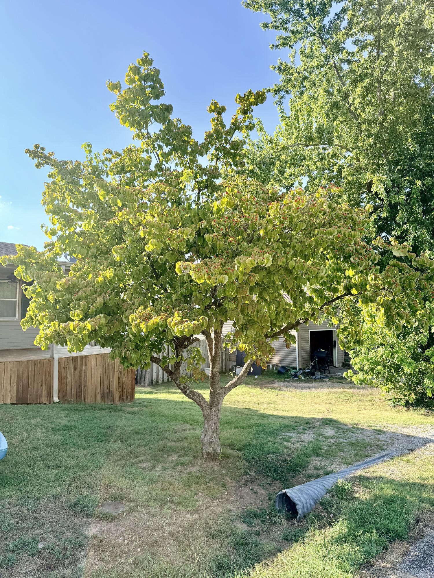 main property photo 21