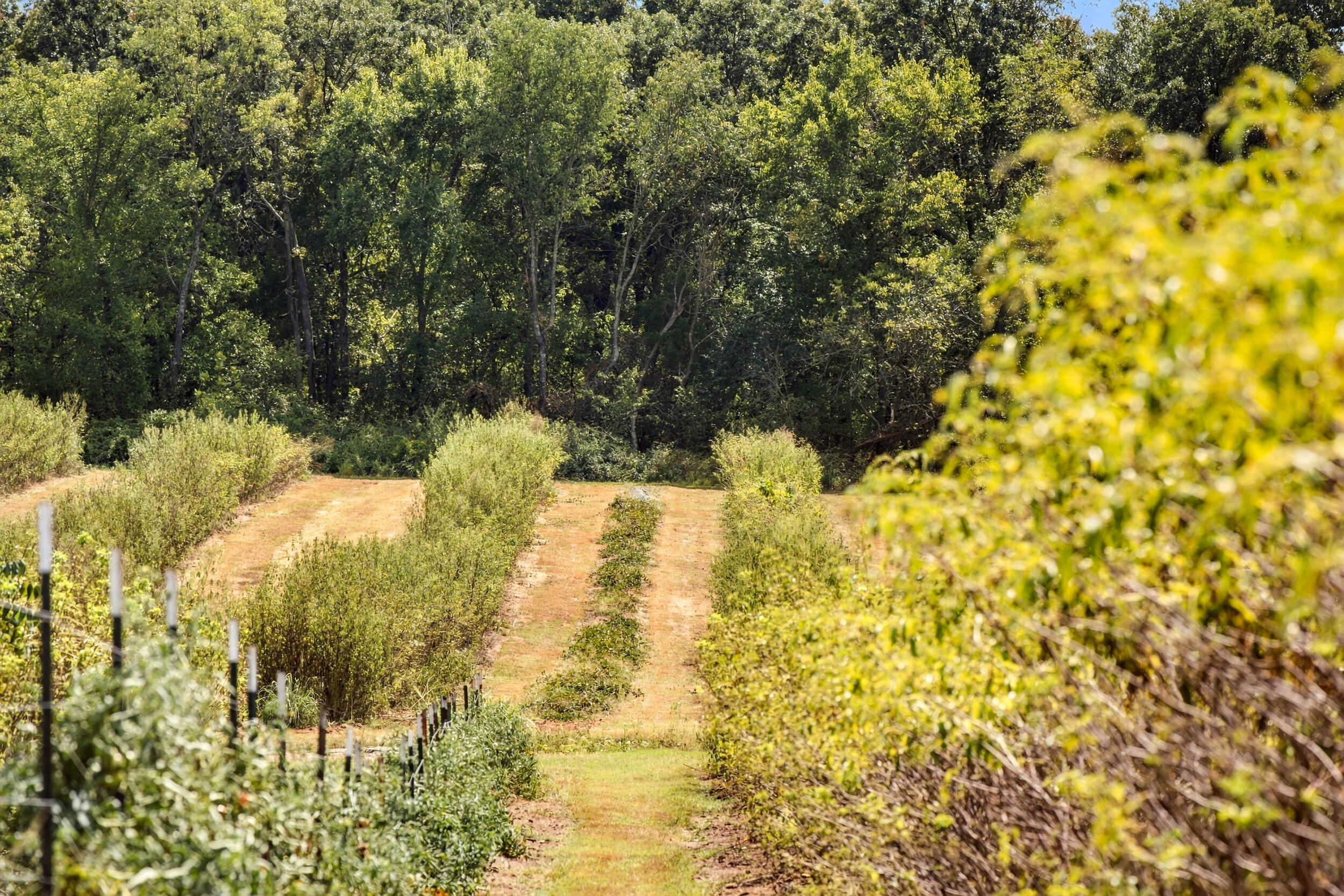 main property photo 53