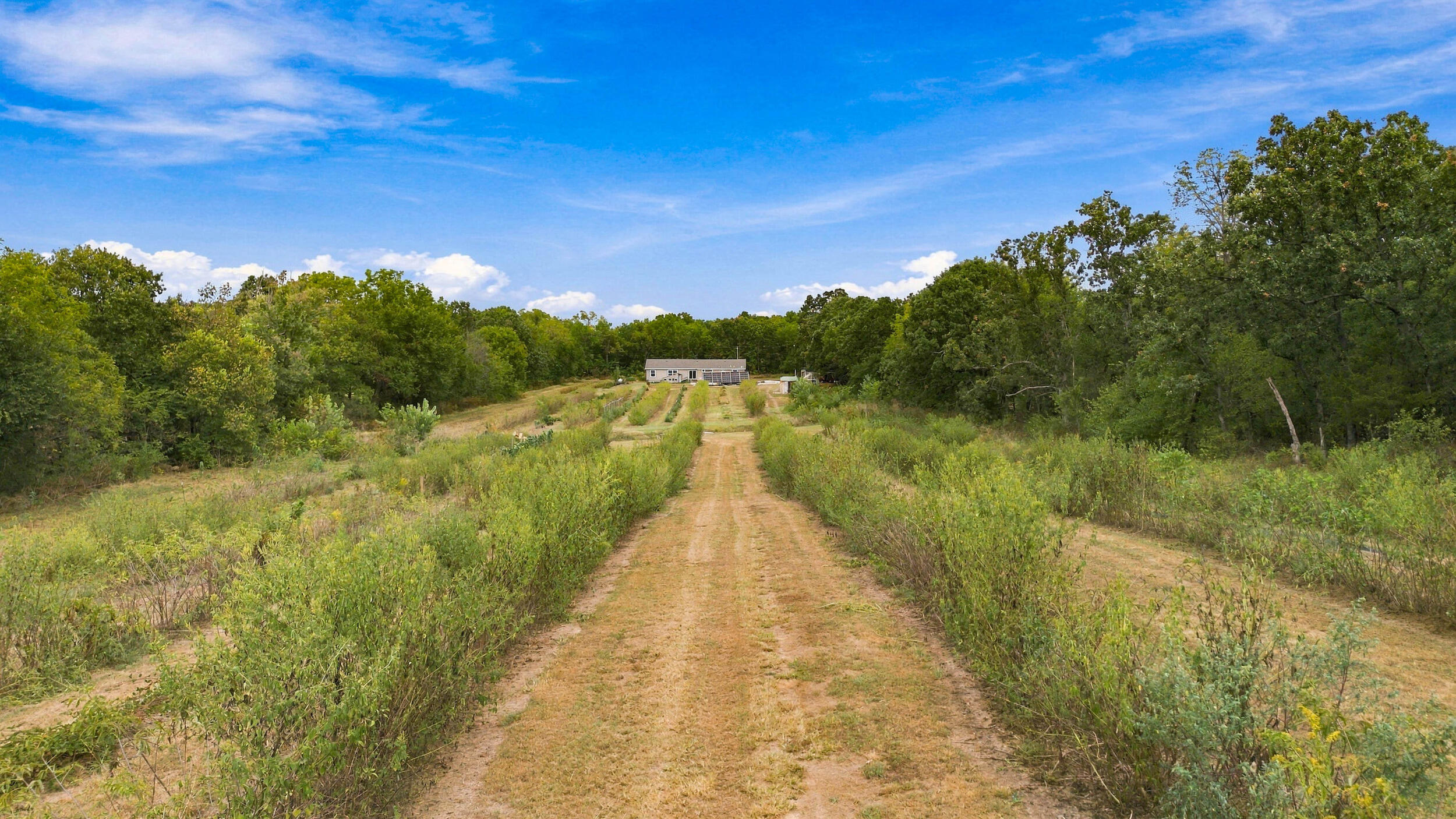 main property photo 58