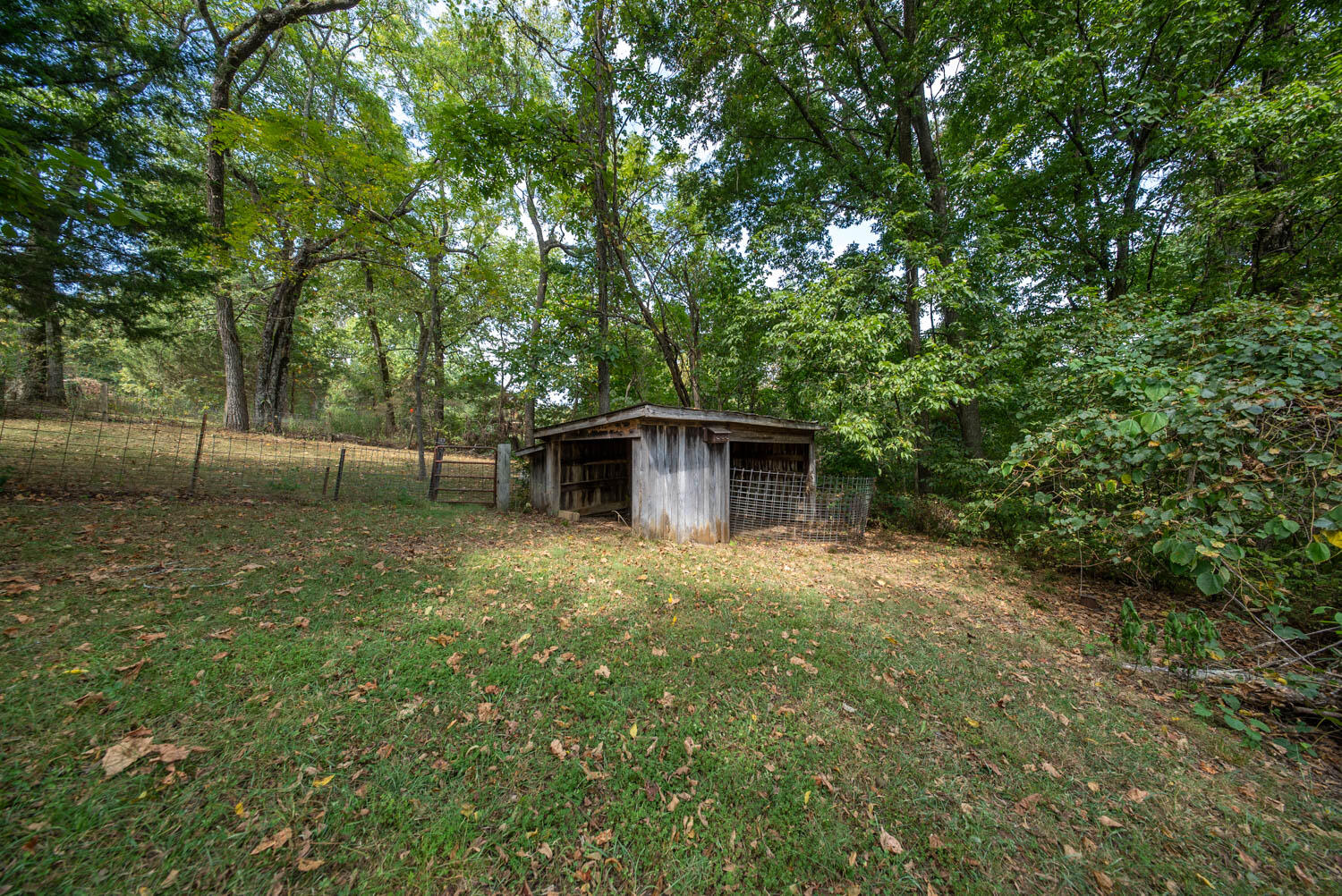 main property photo 7