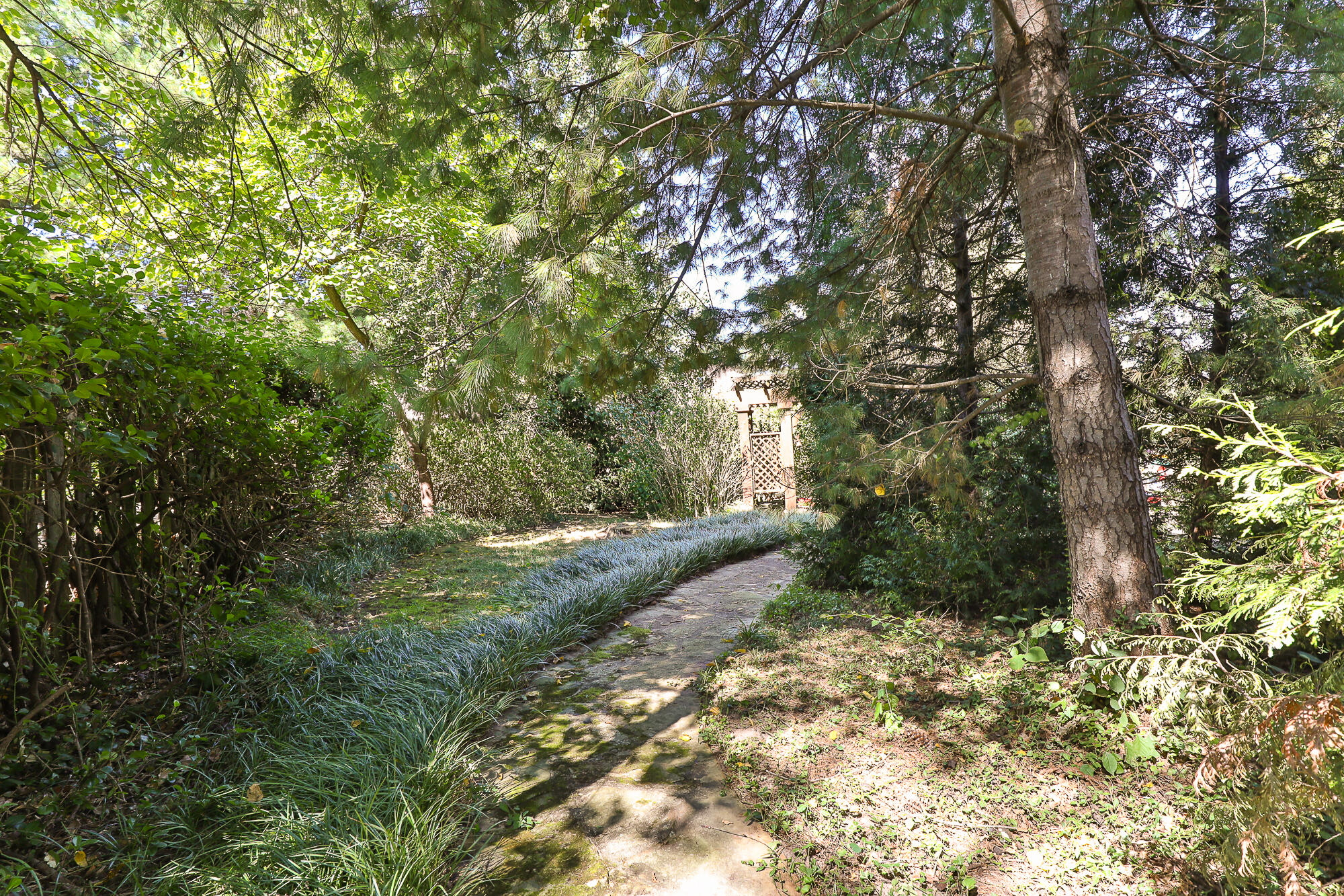 main property photo 71