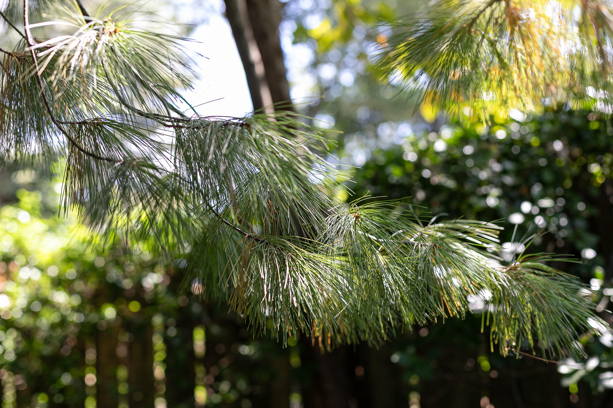 main property photo 77