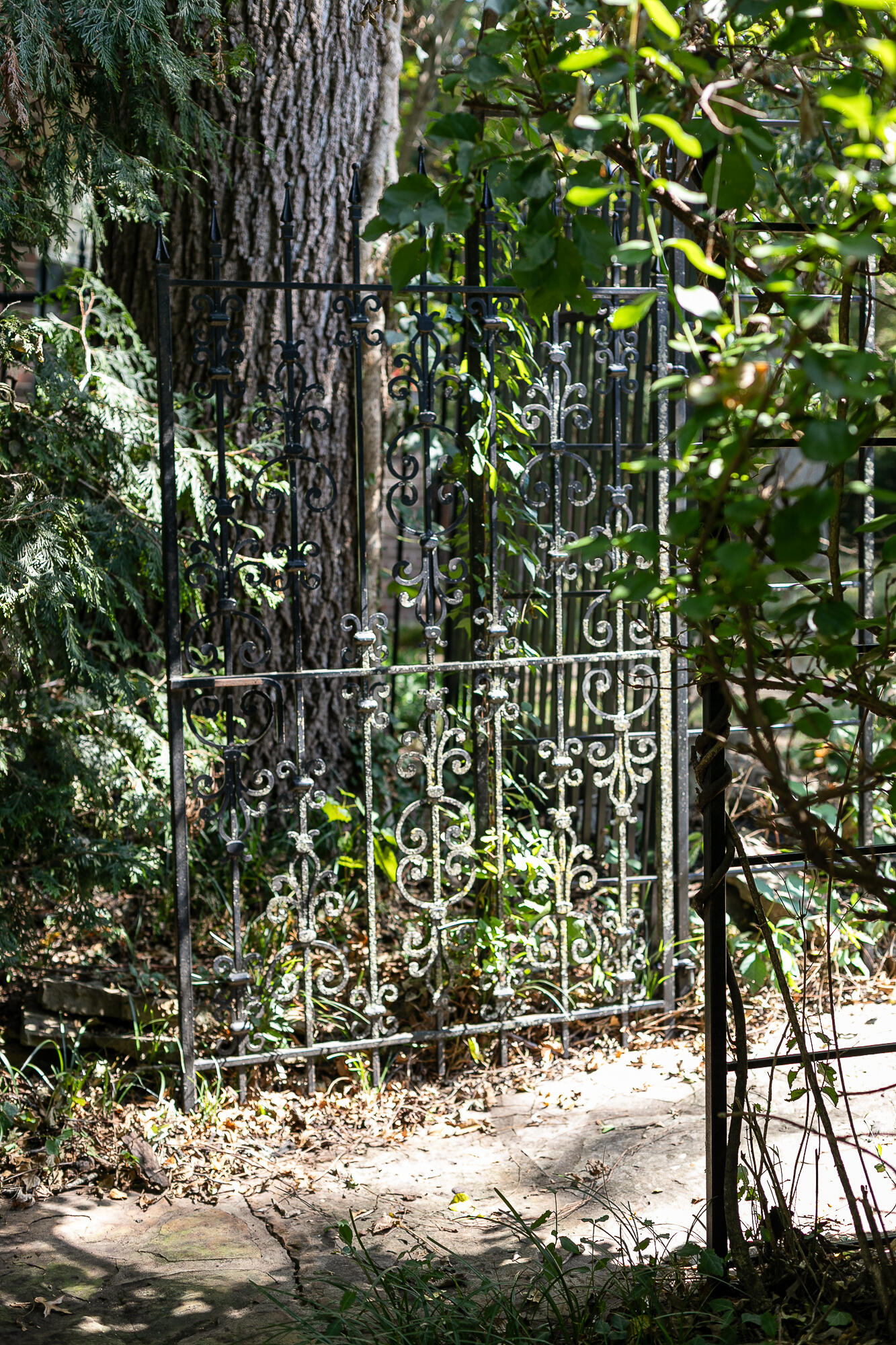 main property photo 78