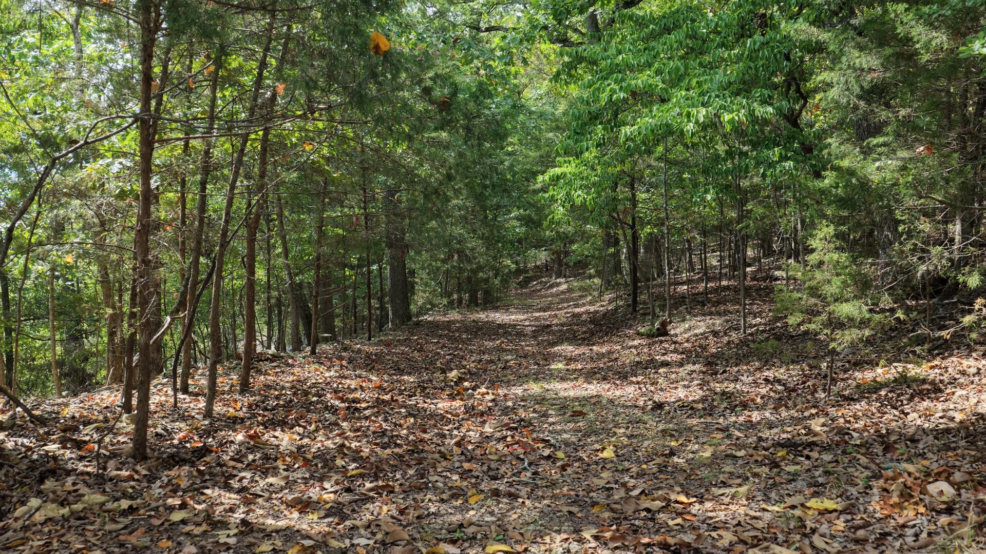 main property photo 45