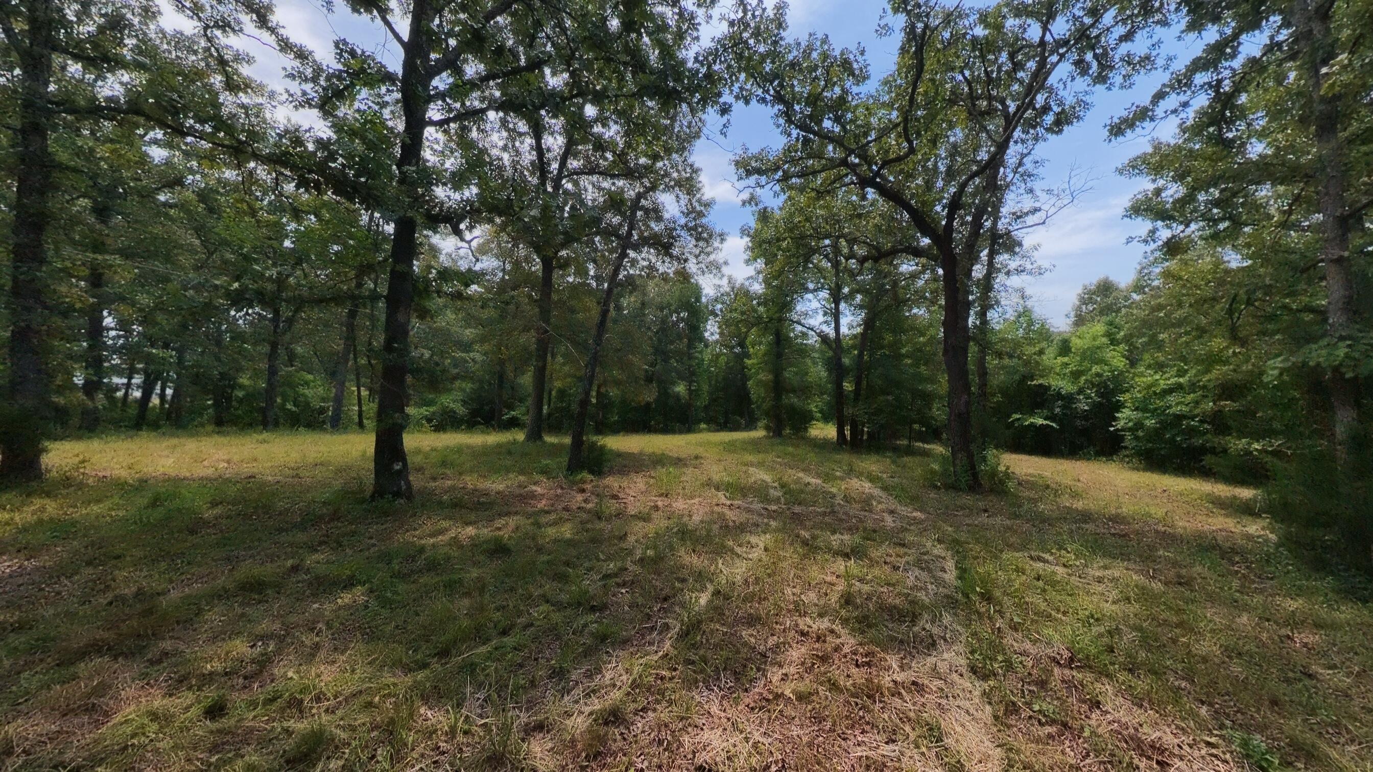 main property photo 31