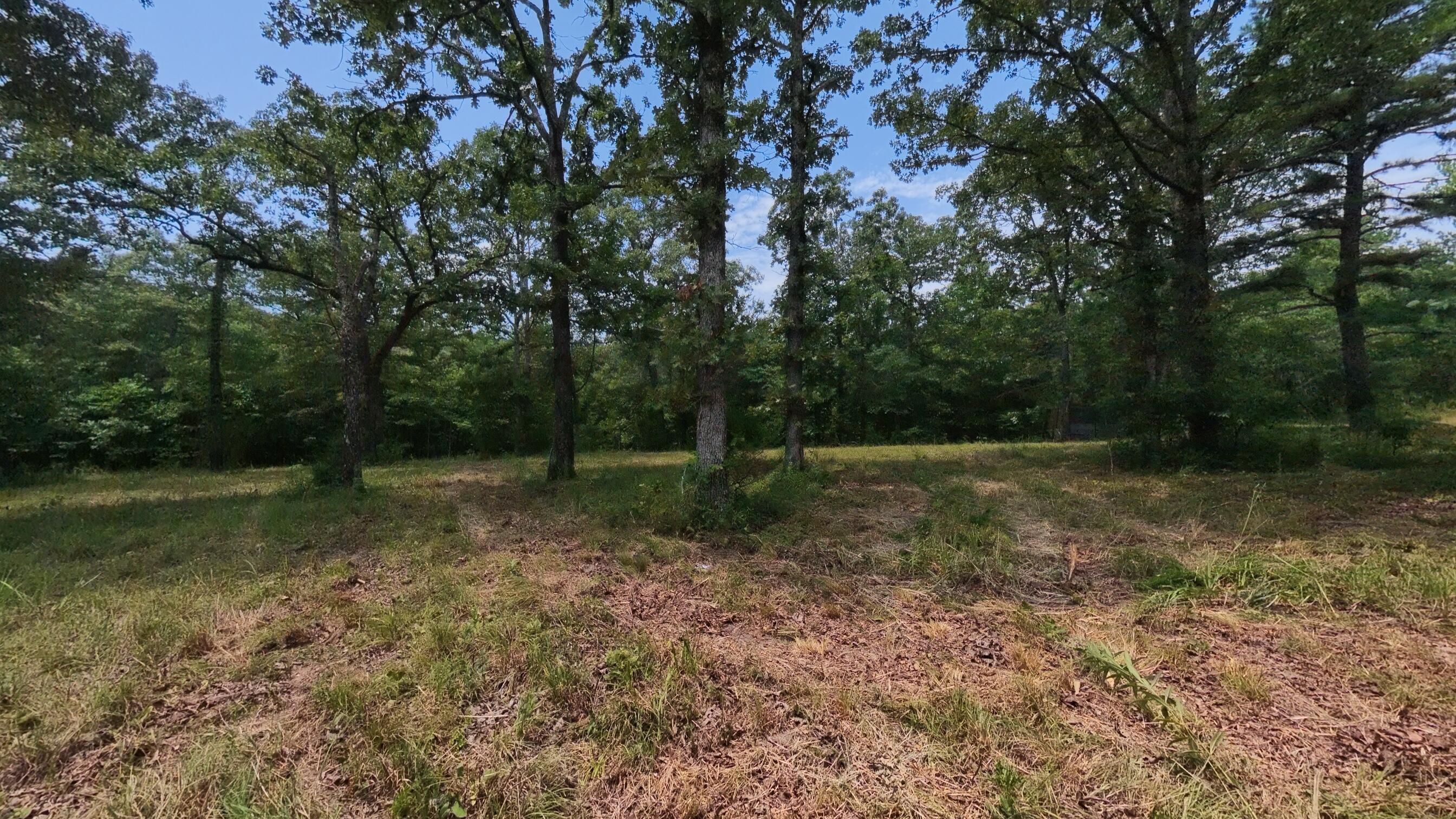 main property photo 34