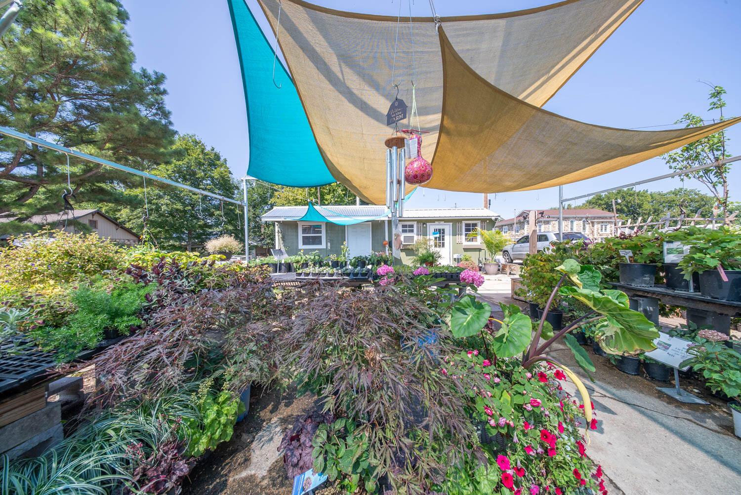 main property photo 6