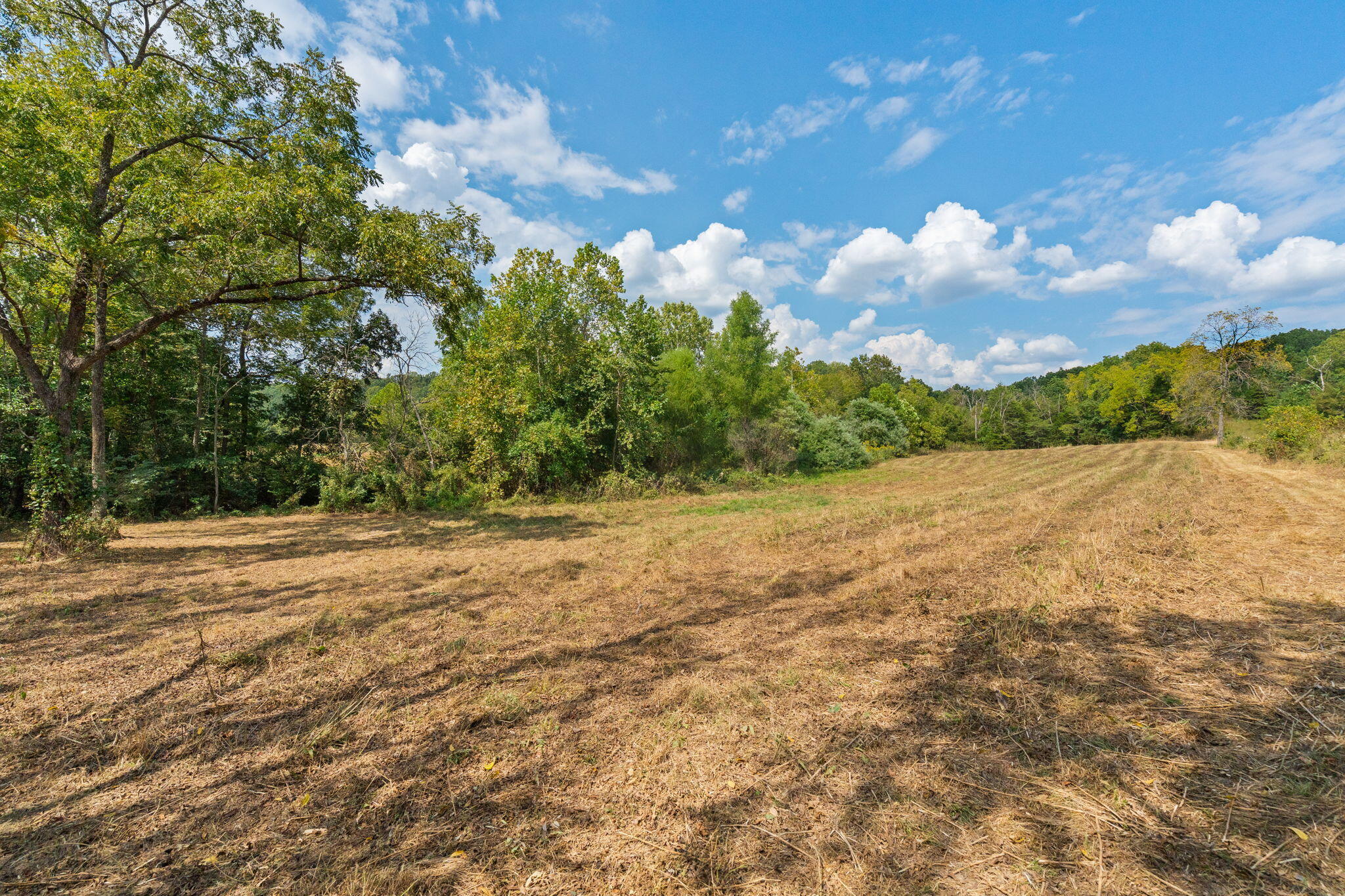 main property photo 78