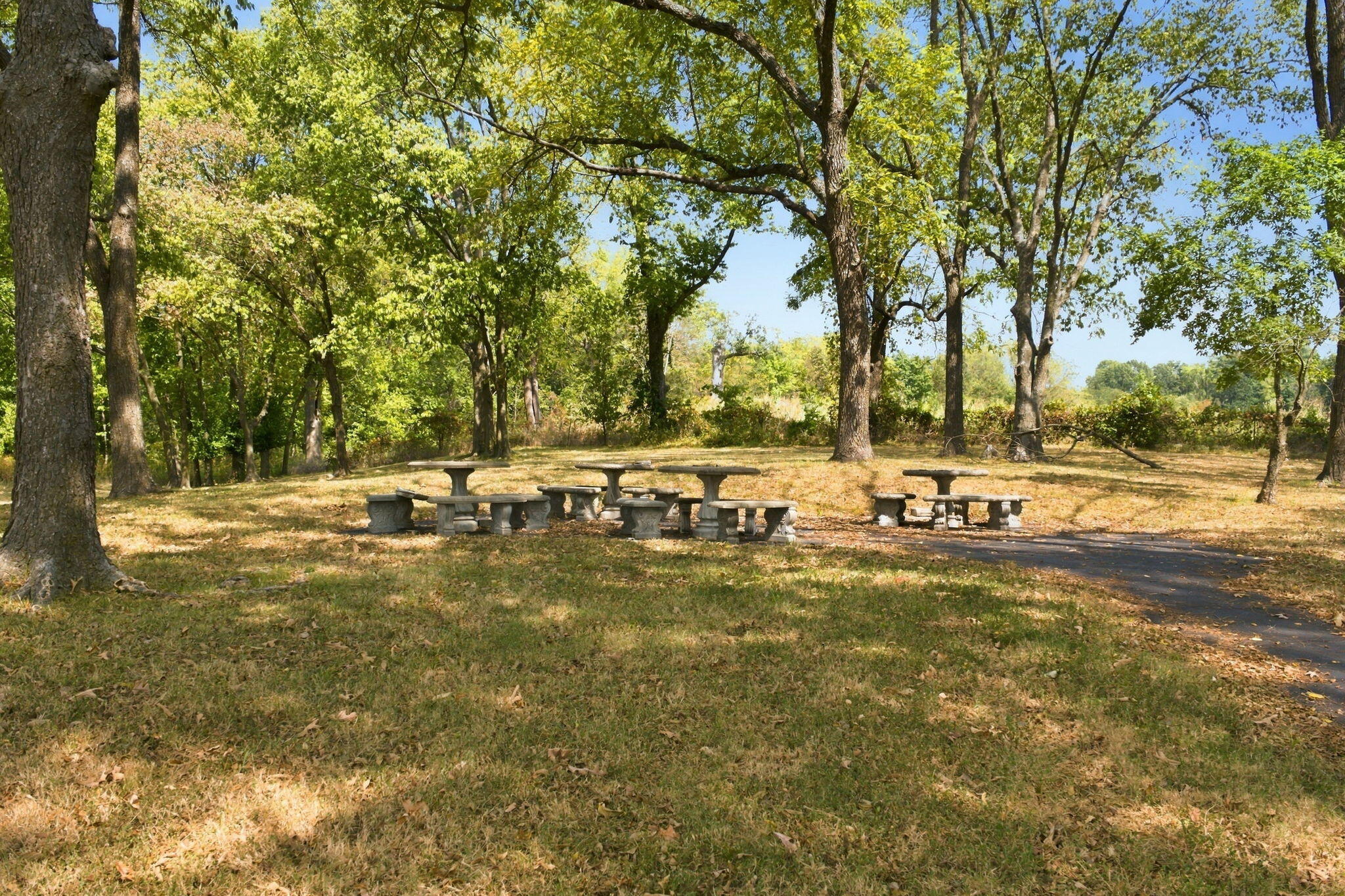 main property photo 27