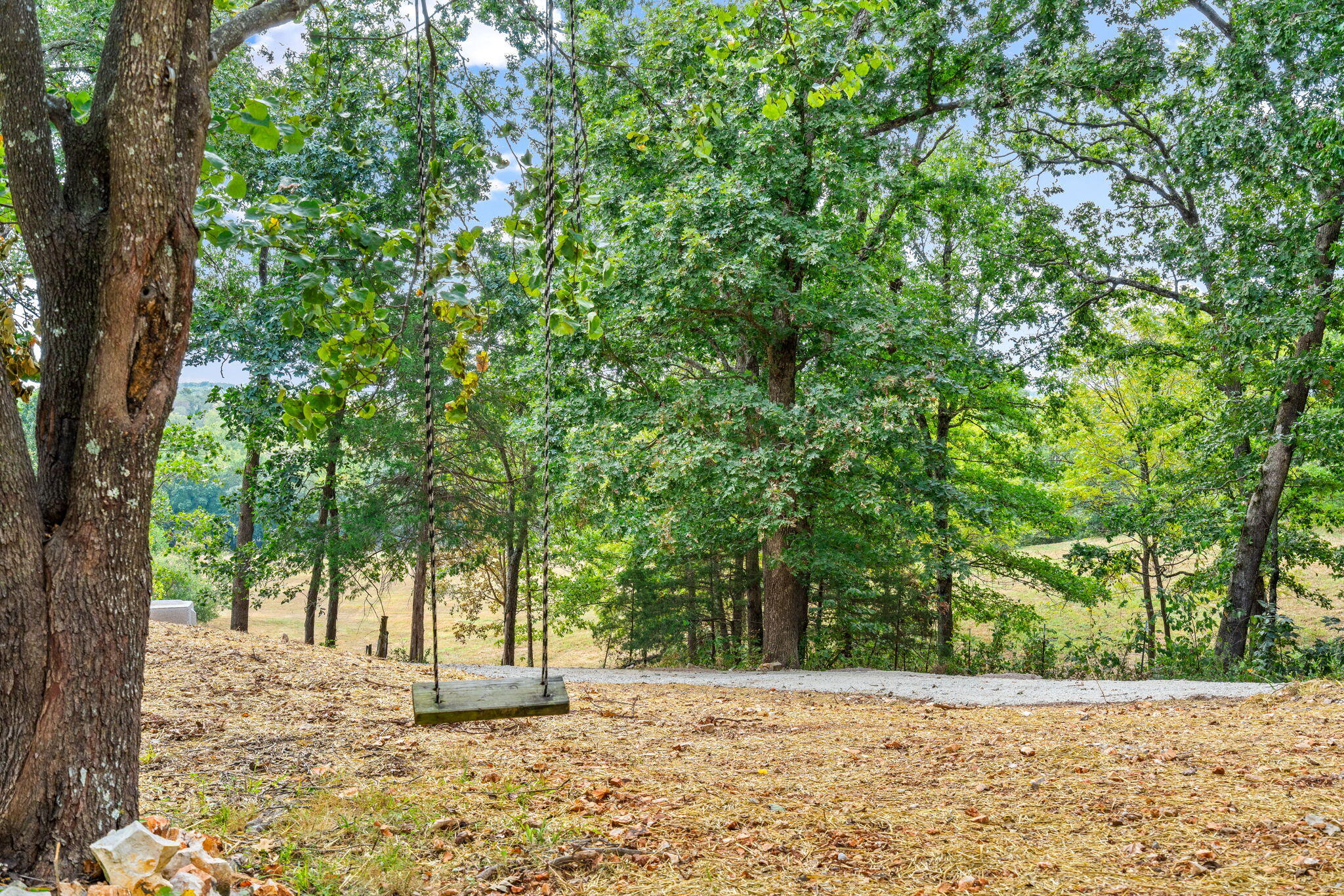 main property photo 69