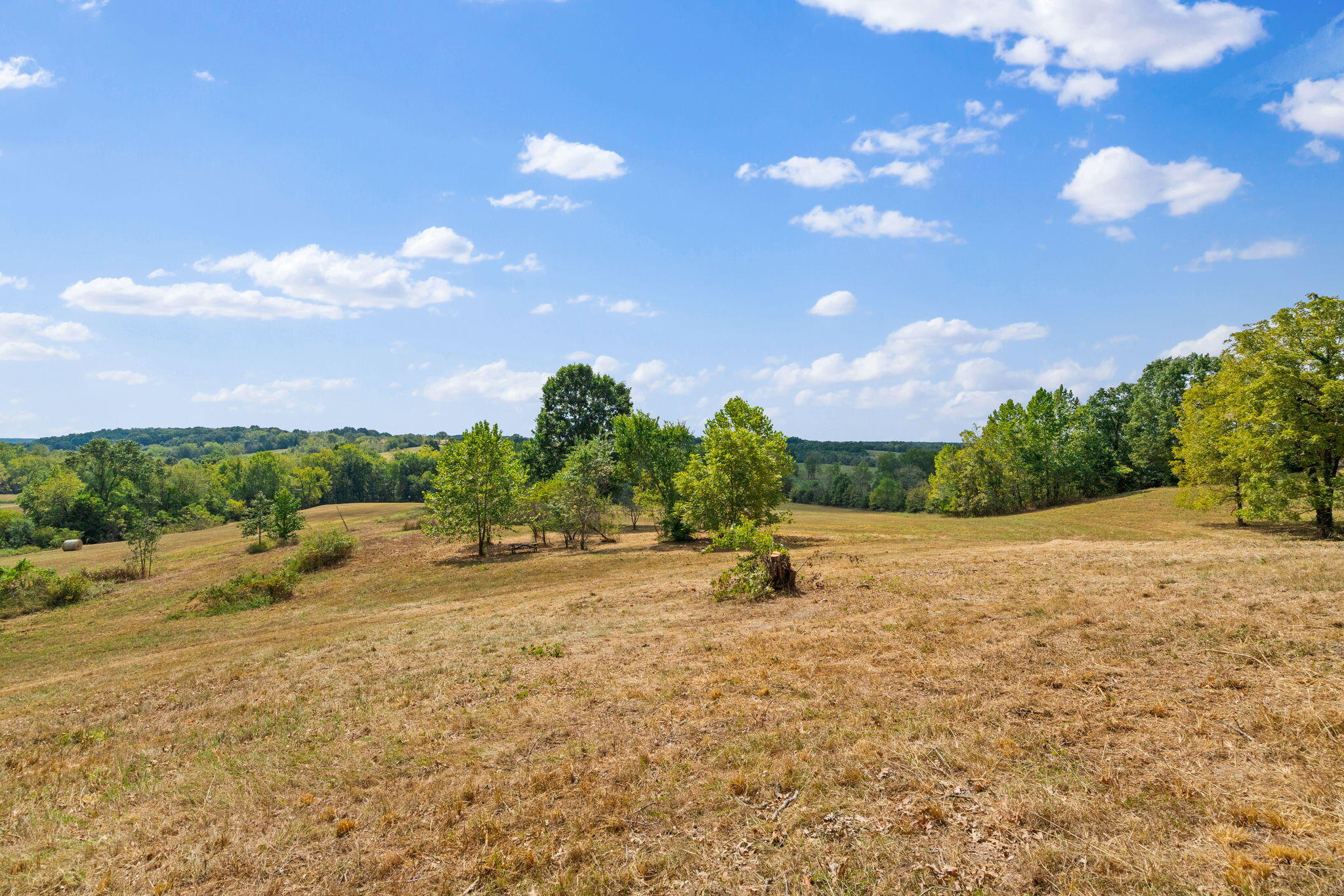 main property photo 75