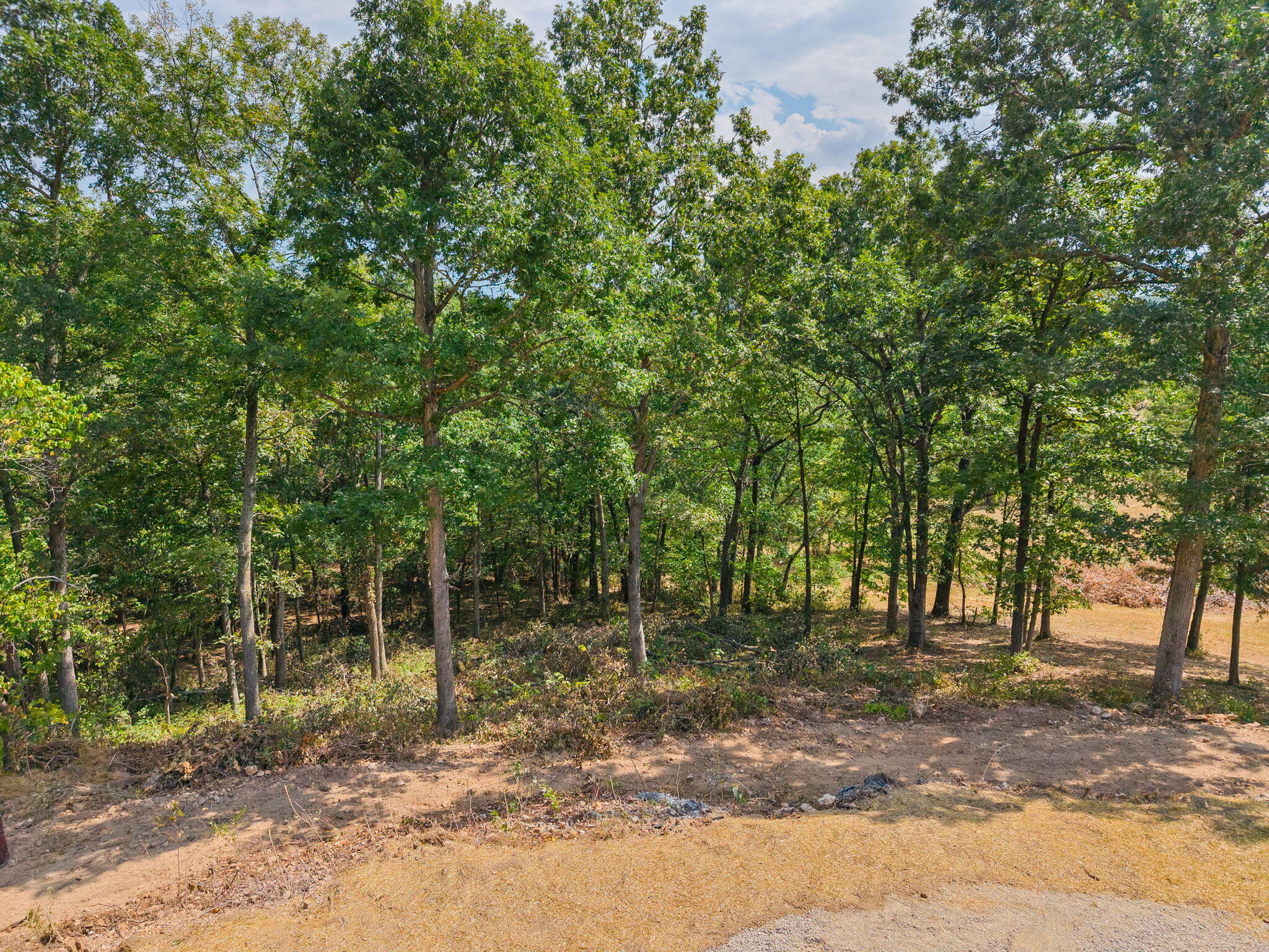 main property photo 76