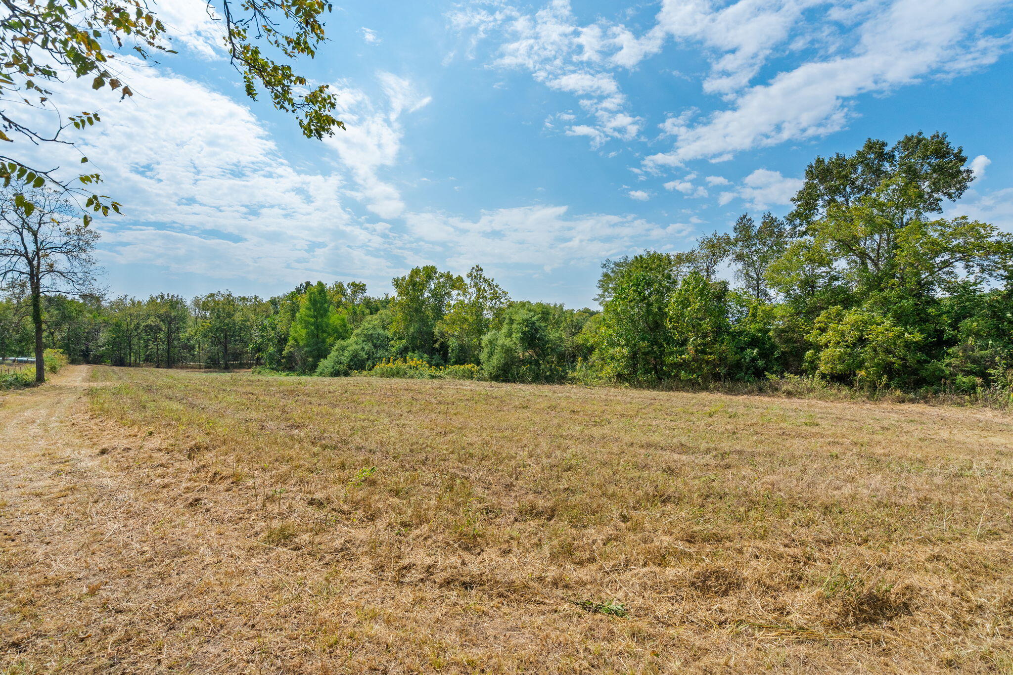 main property photo 79