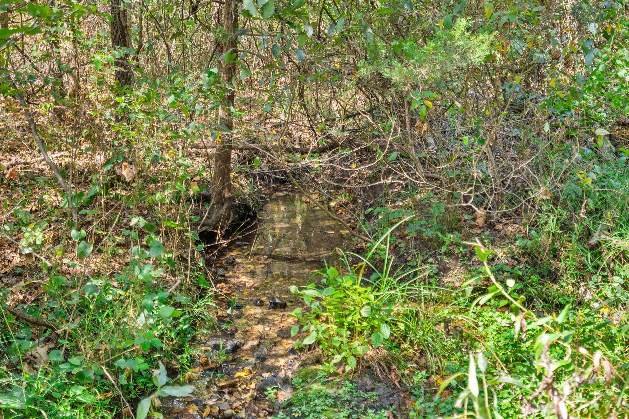 main property photo 81