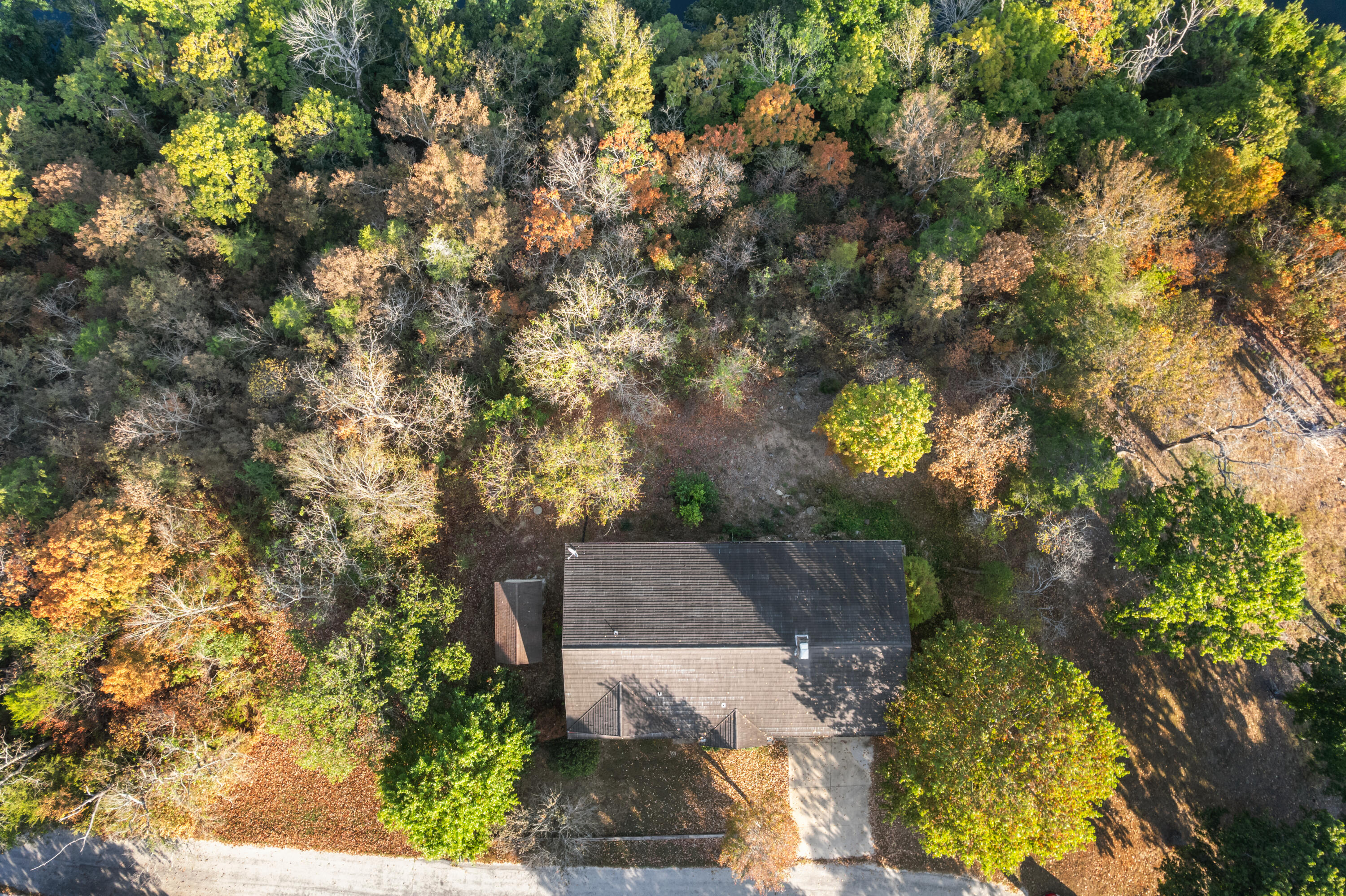 main property photo 53
