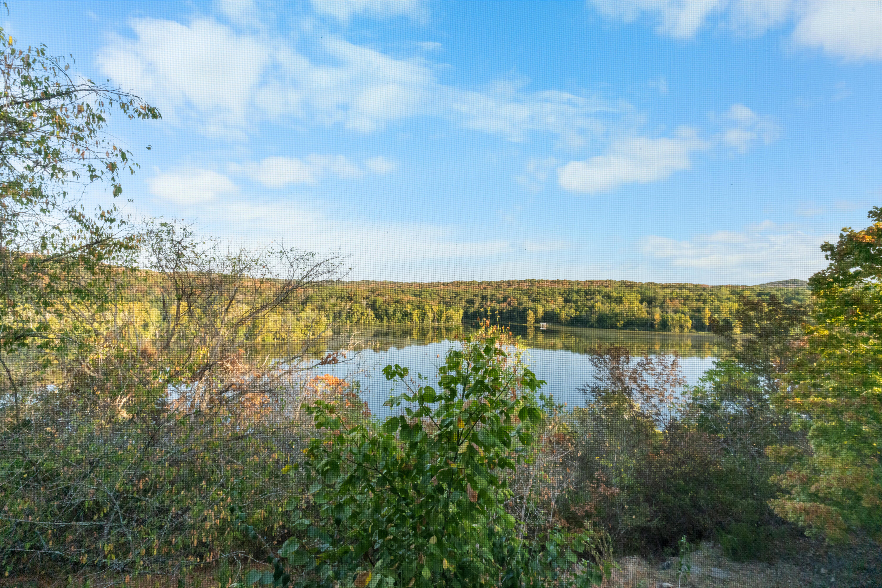 main property photo 56