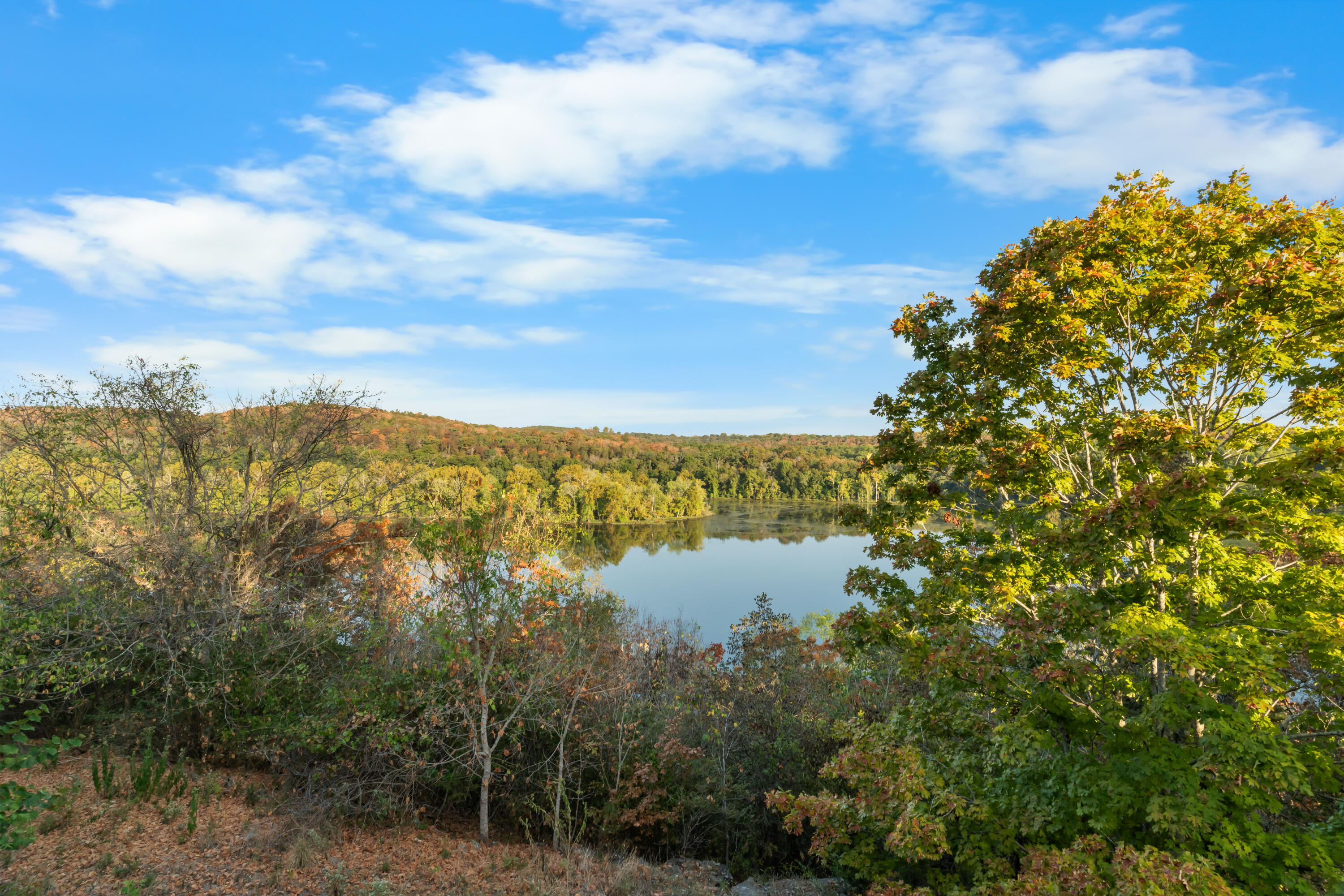 main property photo 58
