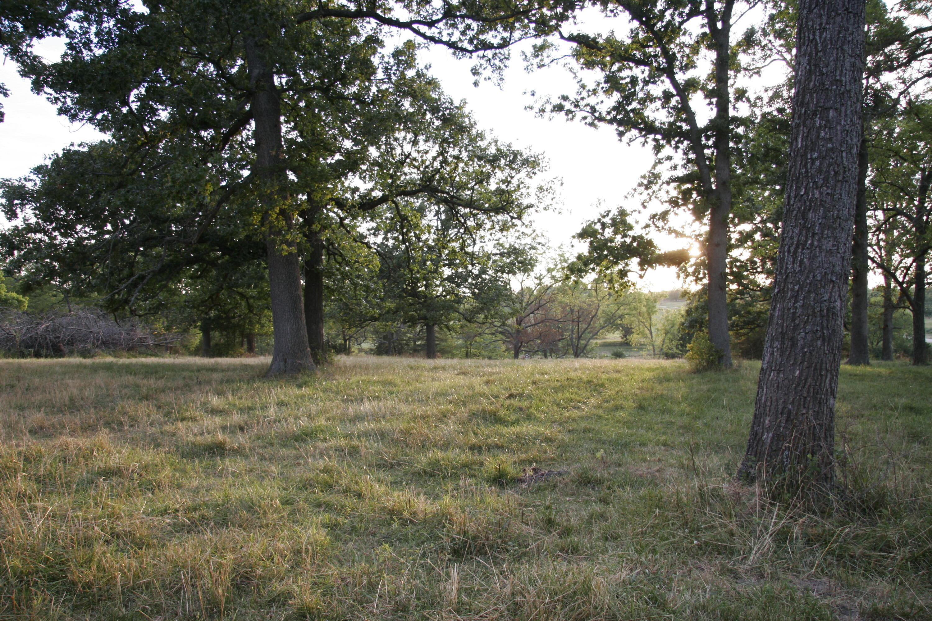 main property photo 42
