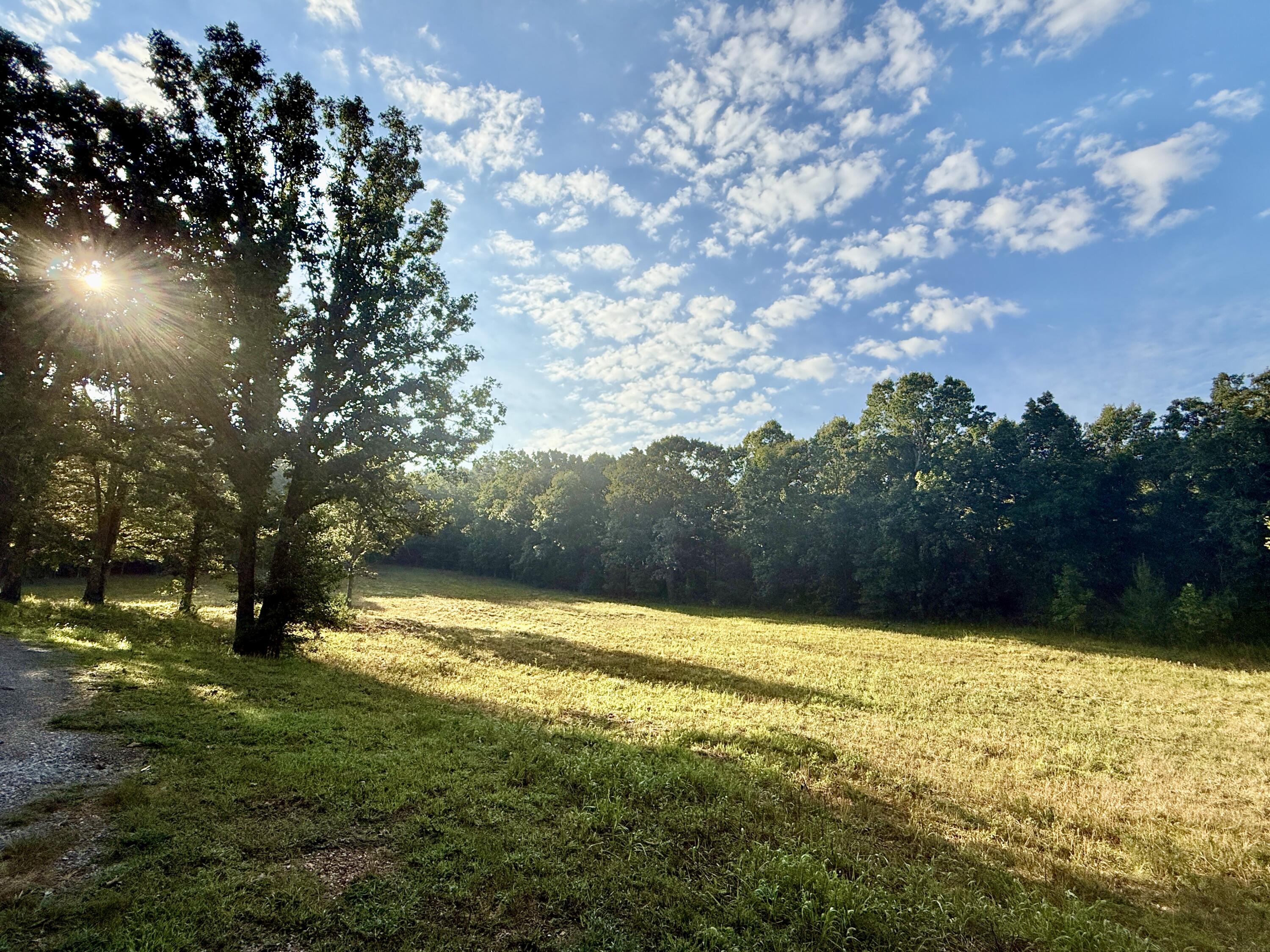 main property photo 44