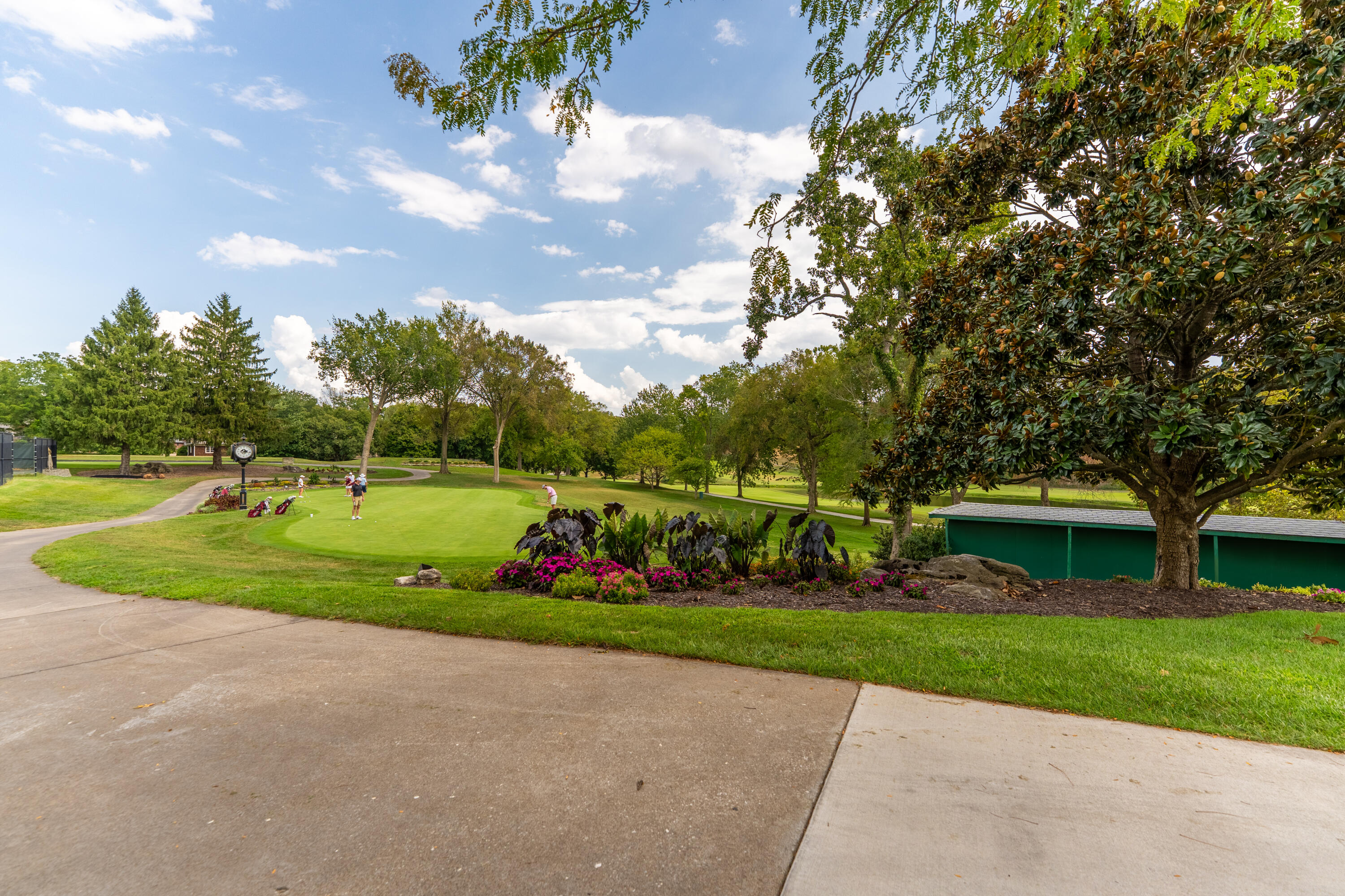 main property photo 98